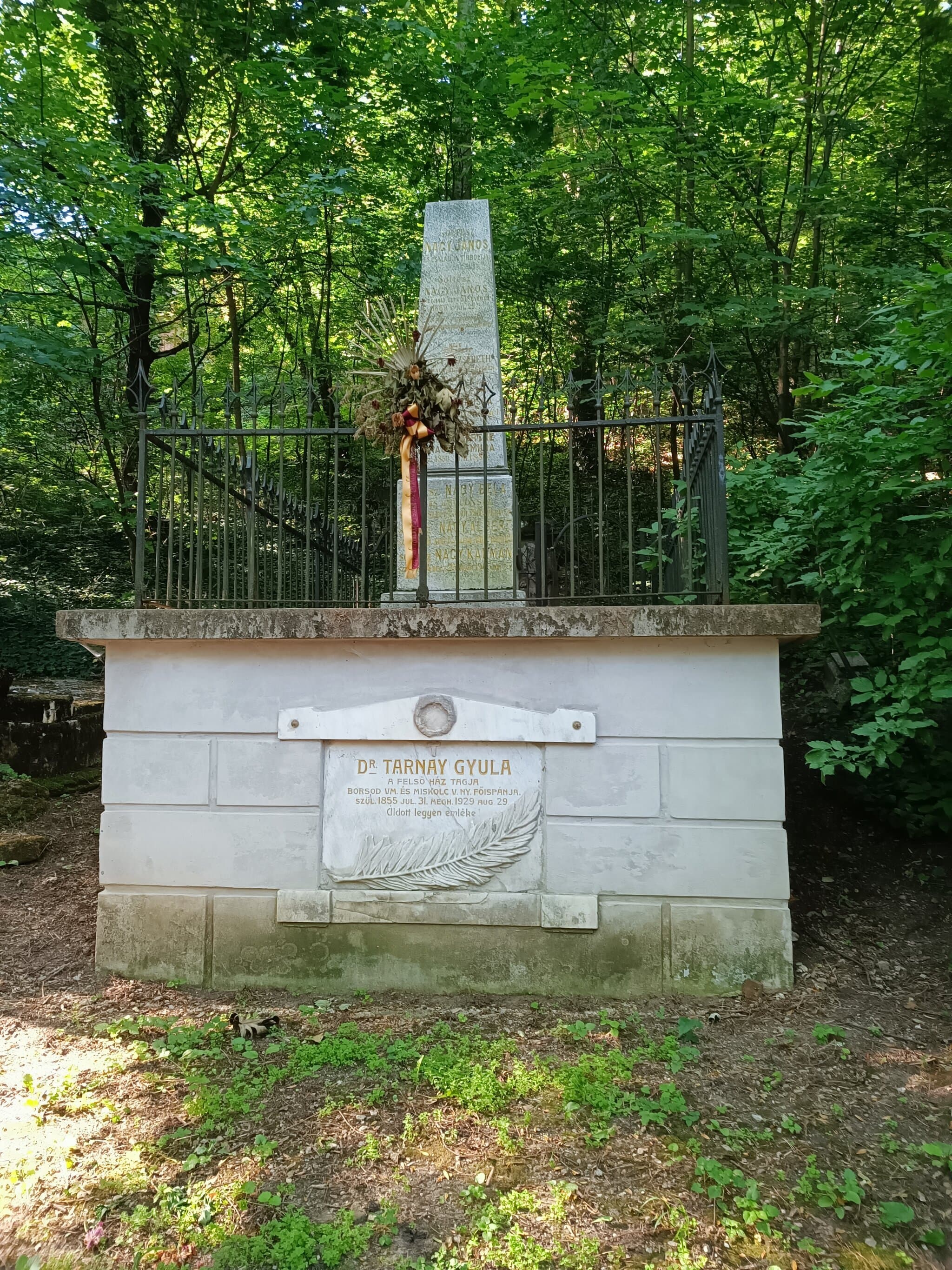 mezőkövesdi Tarnay Gyula sírja