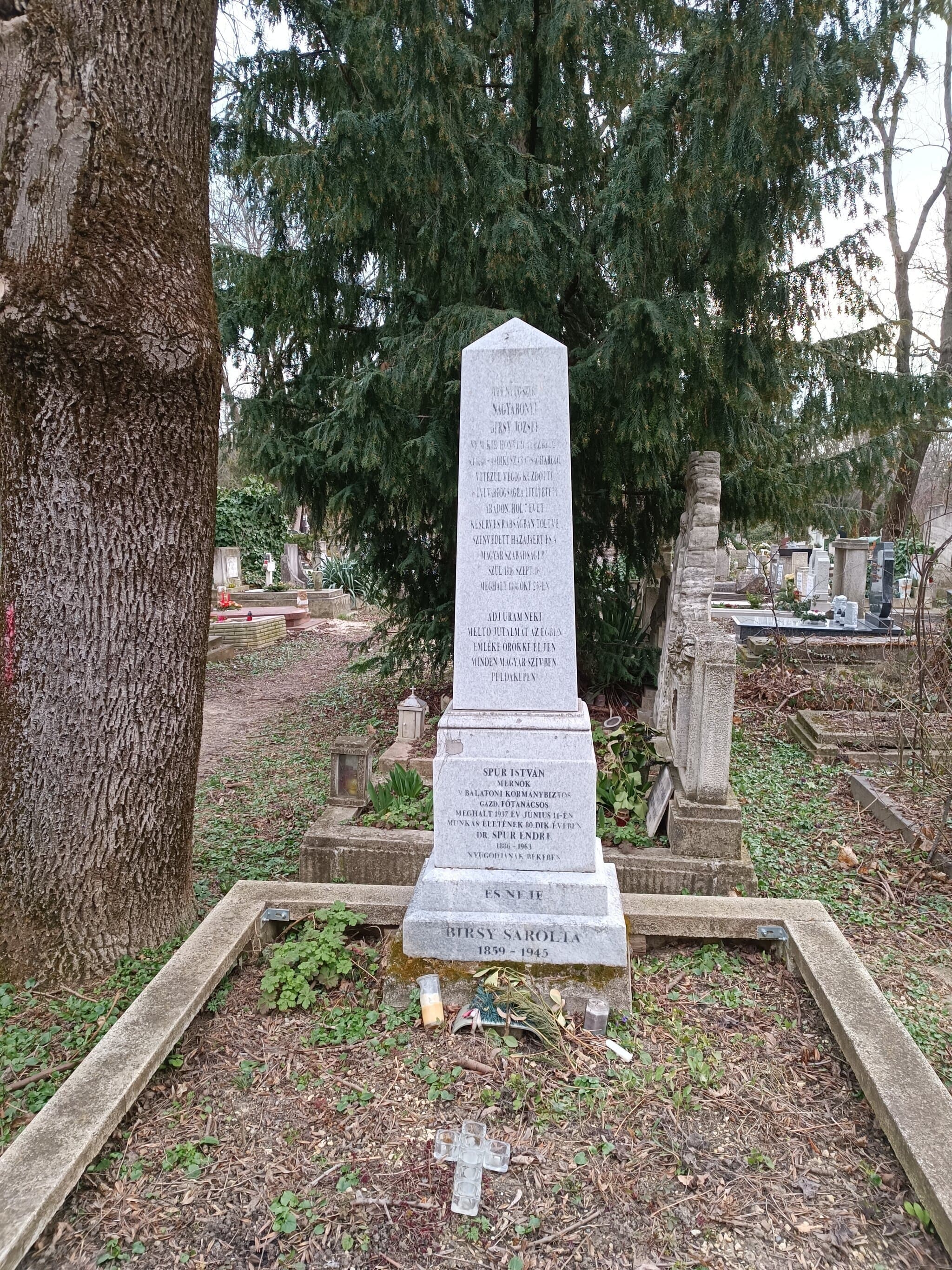 Spur István sírja