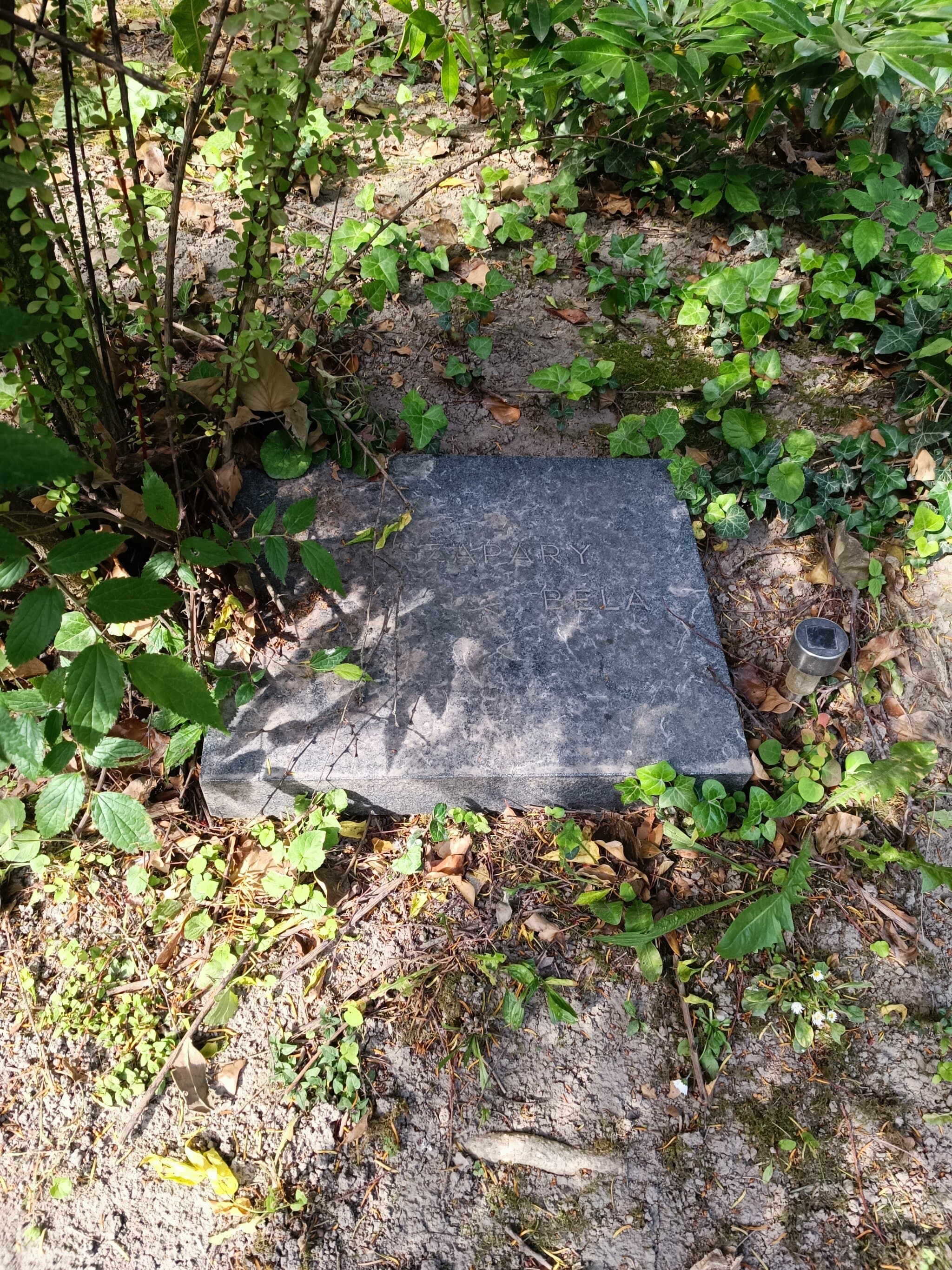 muraszombati, szécsiszigeti és szapári gróf Szapáry Béla sírja