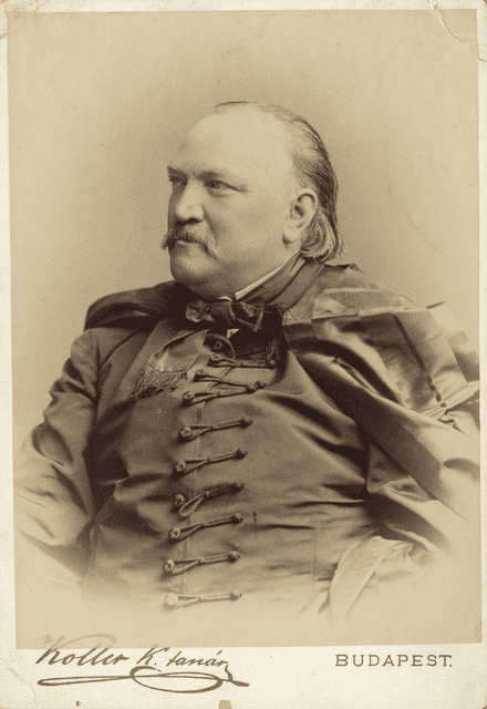 Szász Domokos portréja