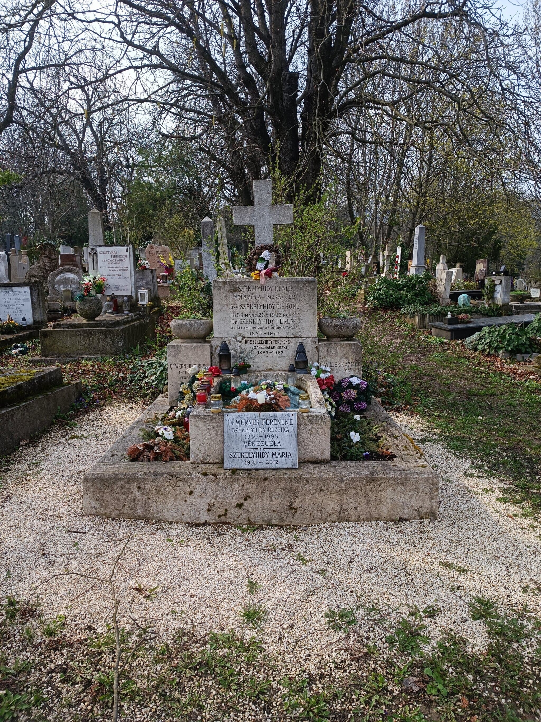 Székelyhidy Ferenc sírja