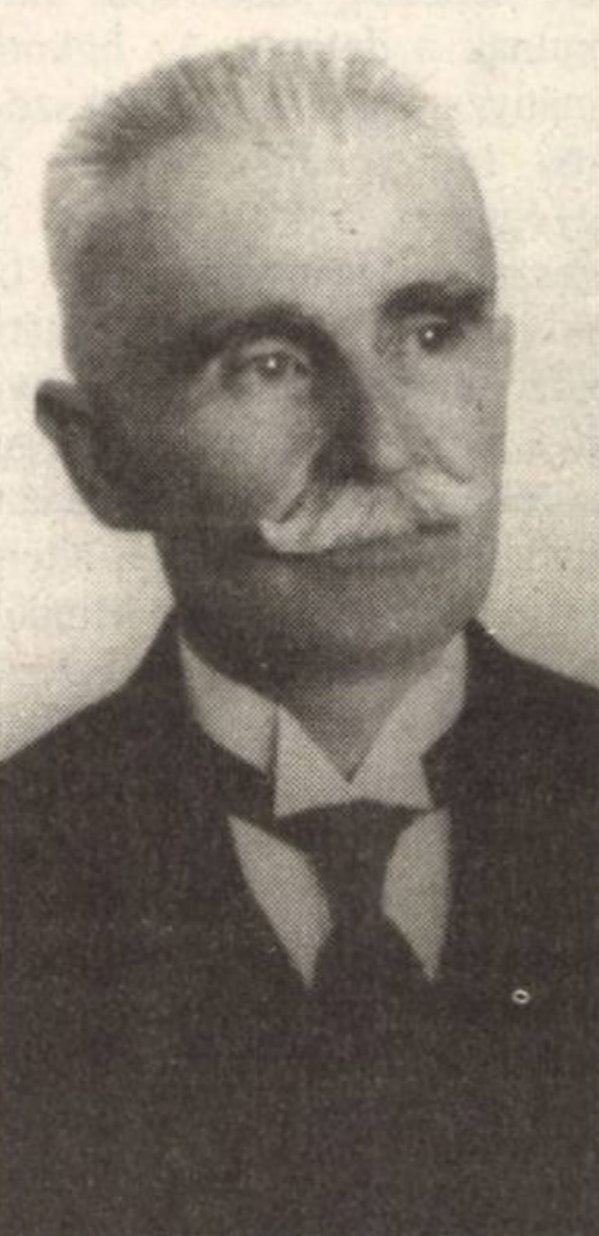 Széll Imre portréja