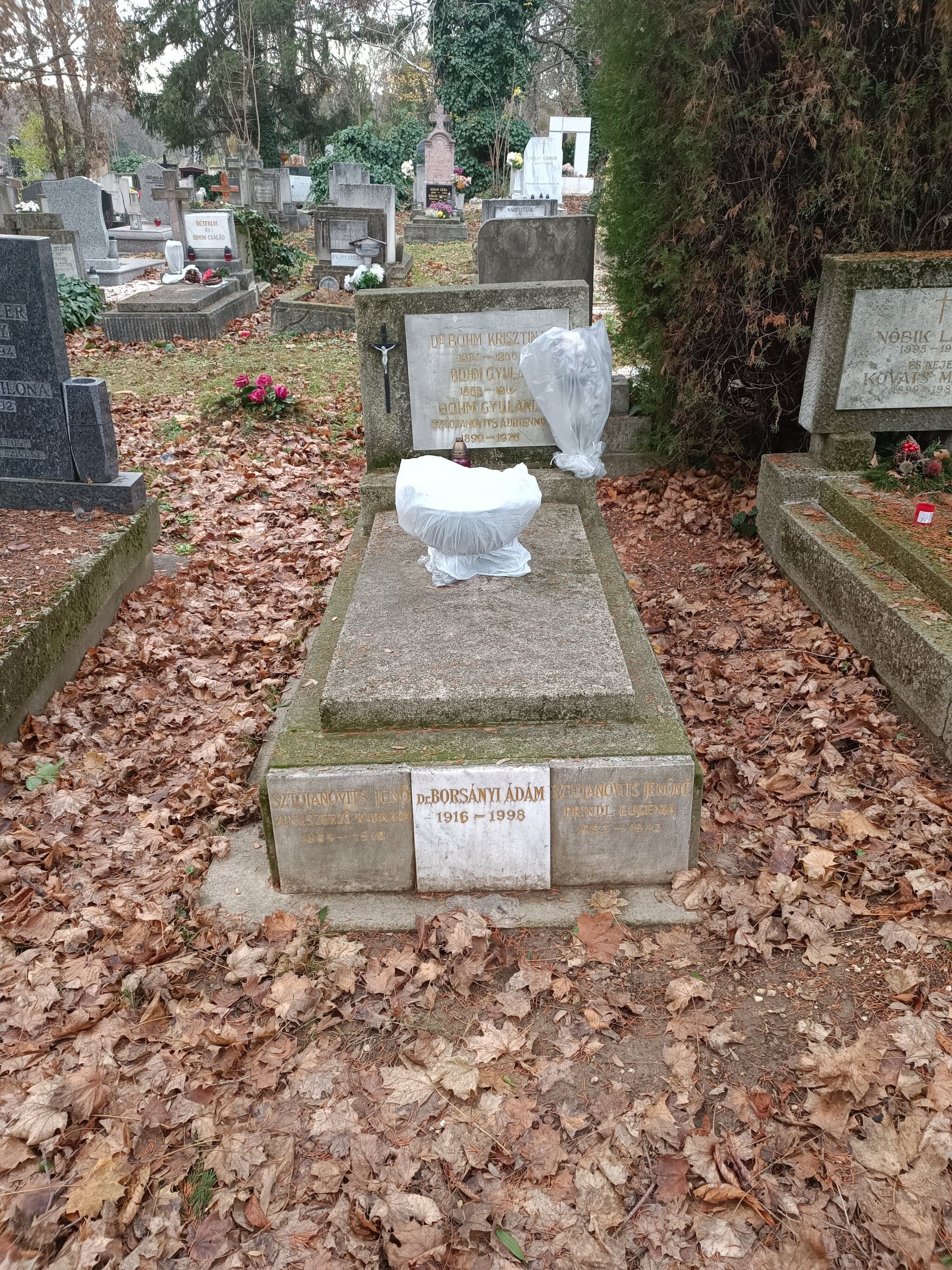 Sztojanovits Jenő sírja