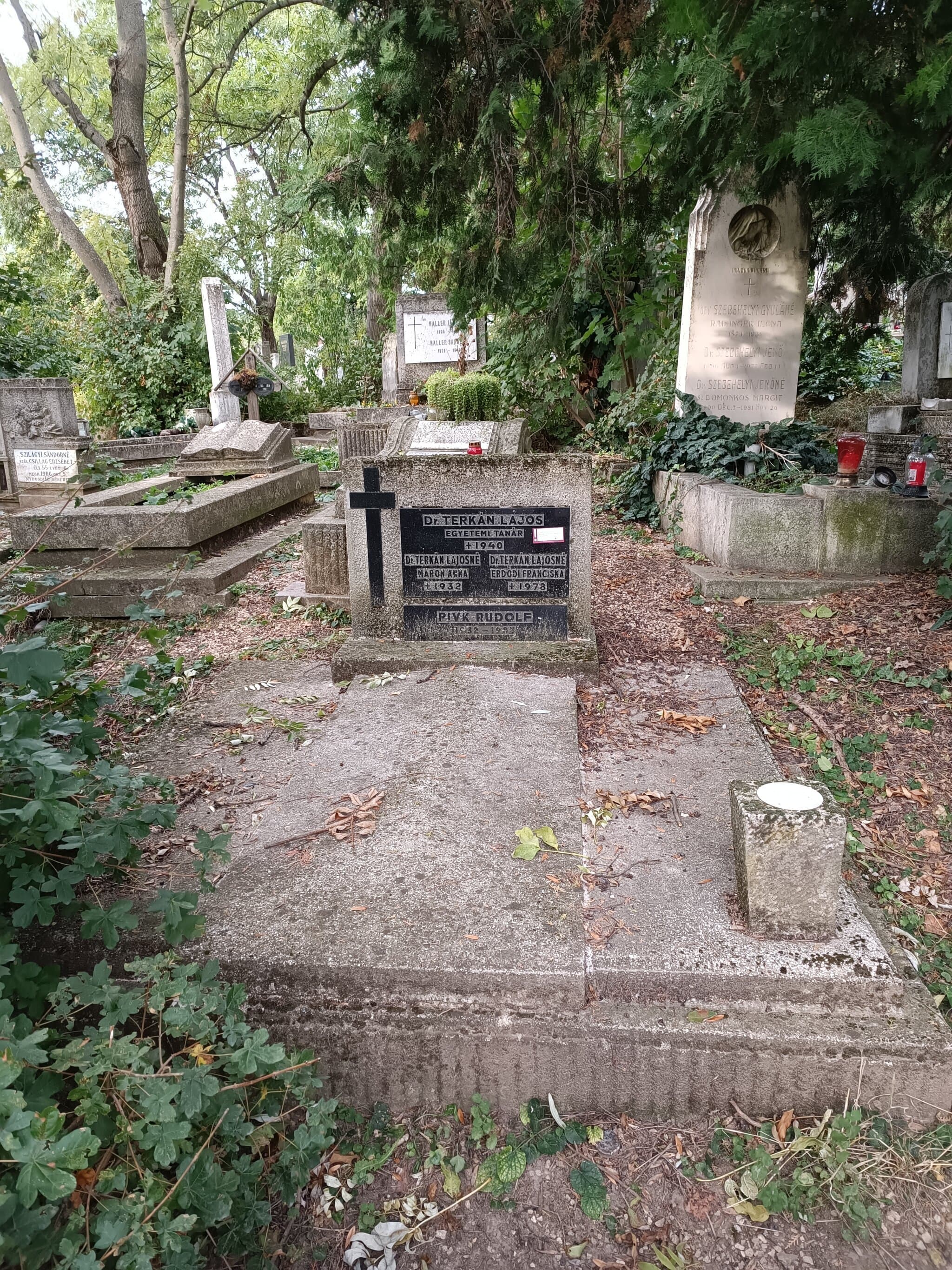 Terkán Lajos sírja