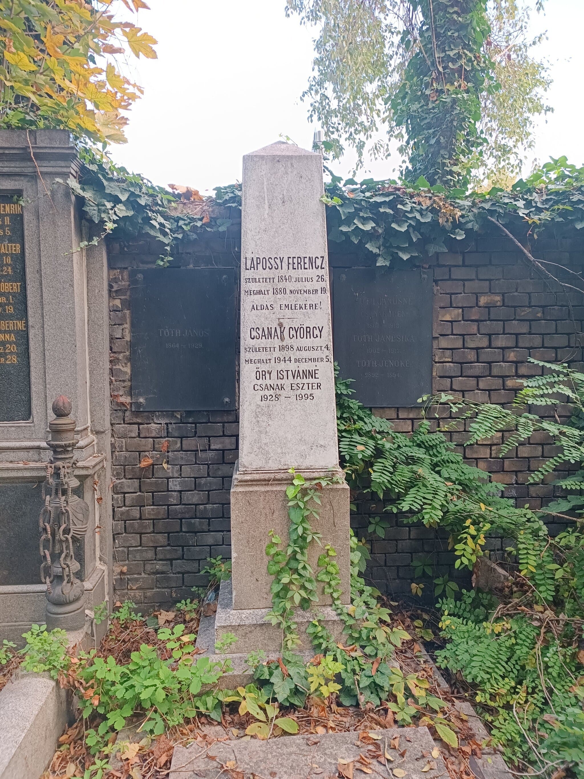Tóth János 1864 sírja