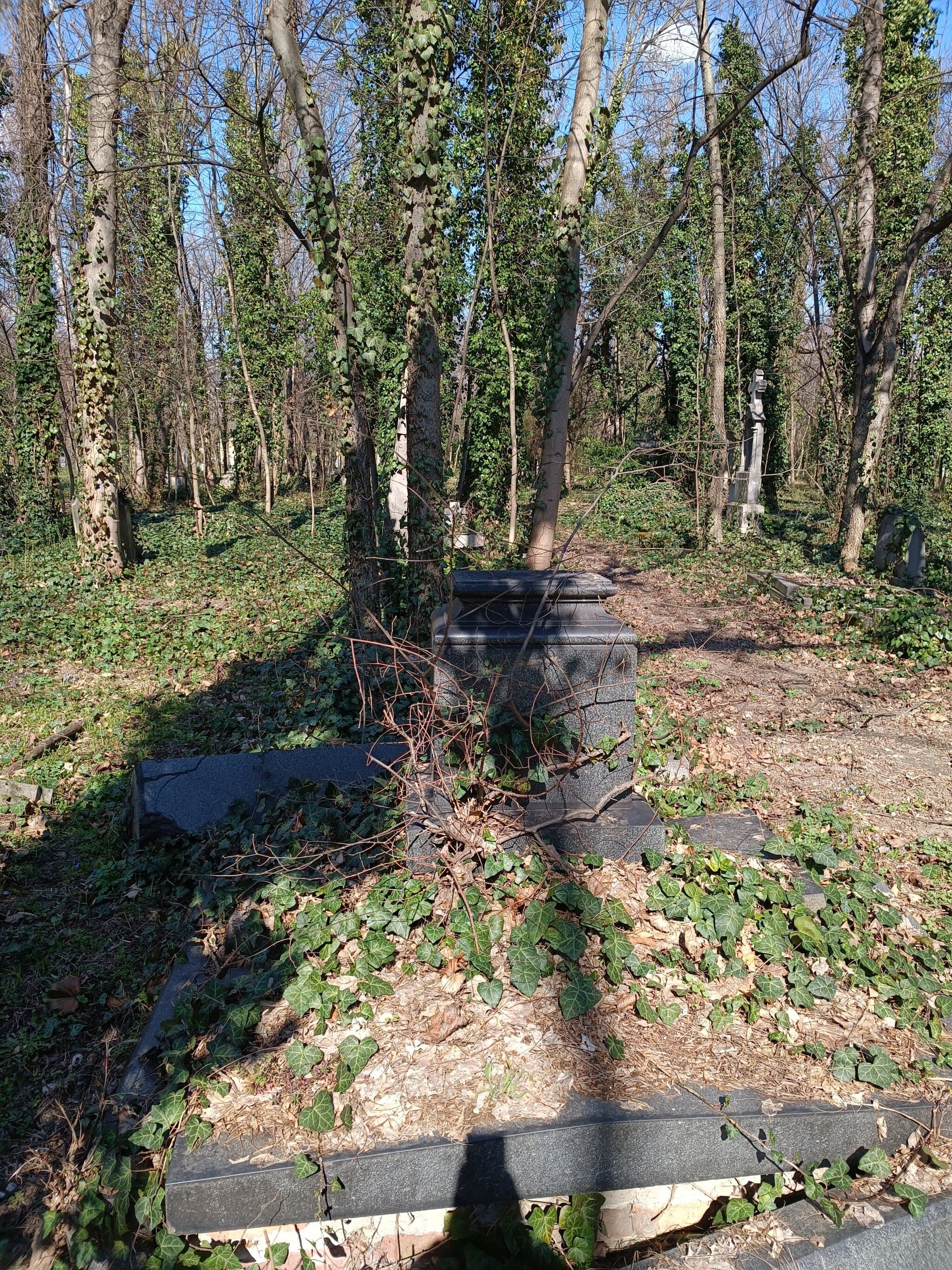 agyagfalvi Udvarhelyi Károly sírja
