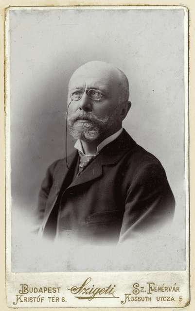 Vancsó Gyula portréja