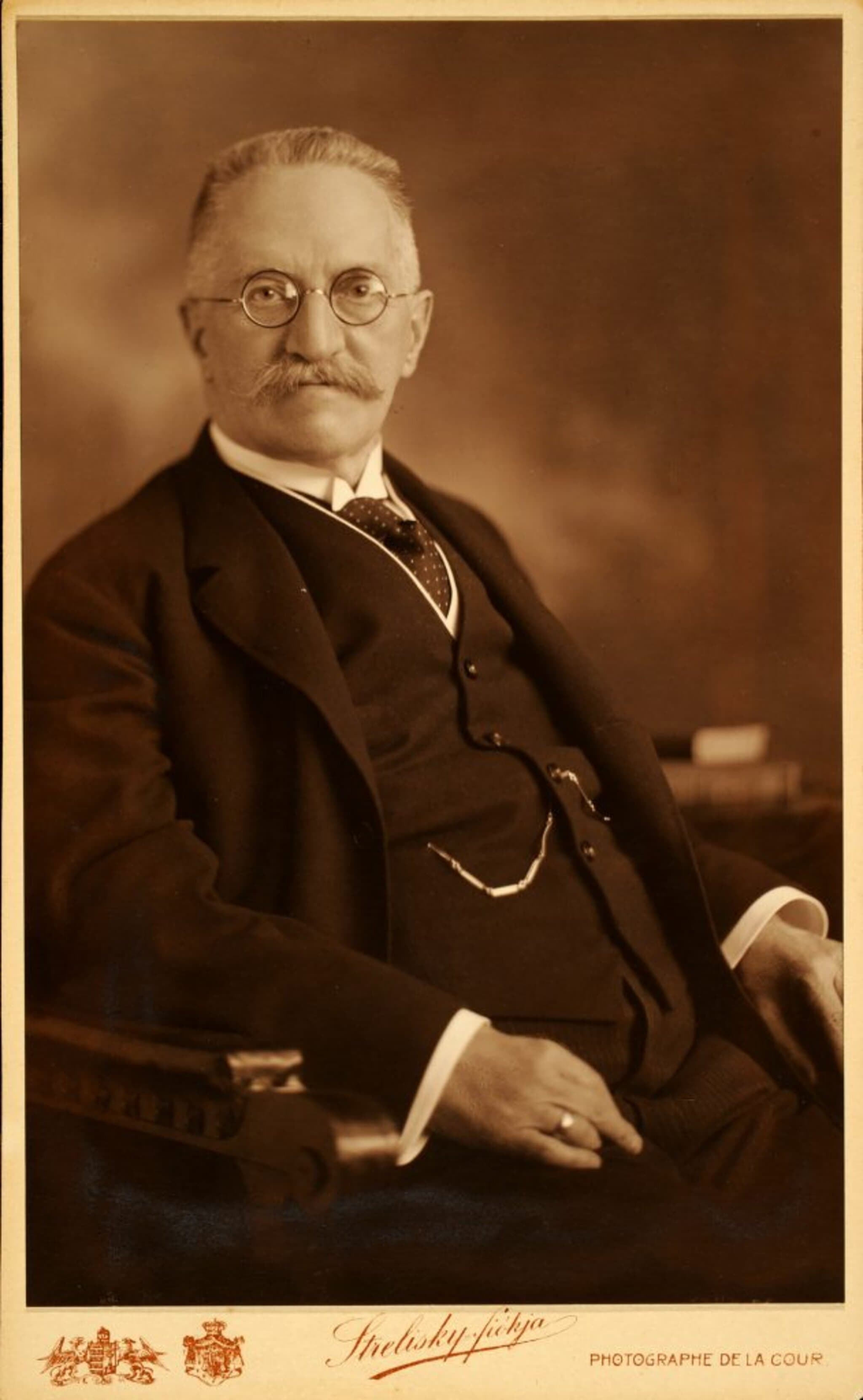 Végh Károly portréja