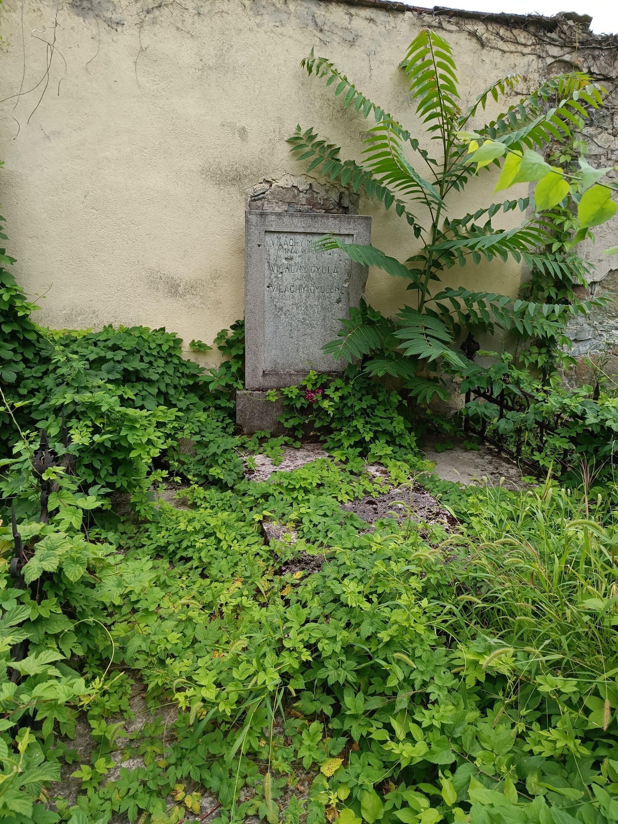 palotási Világhy Gyula sírja
