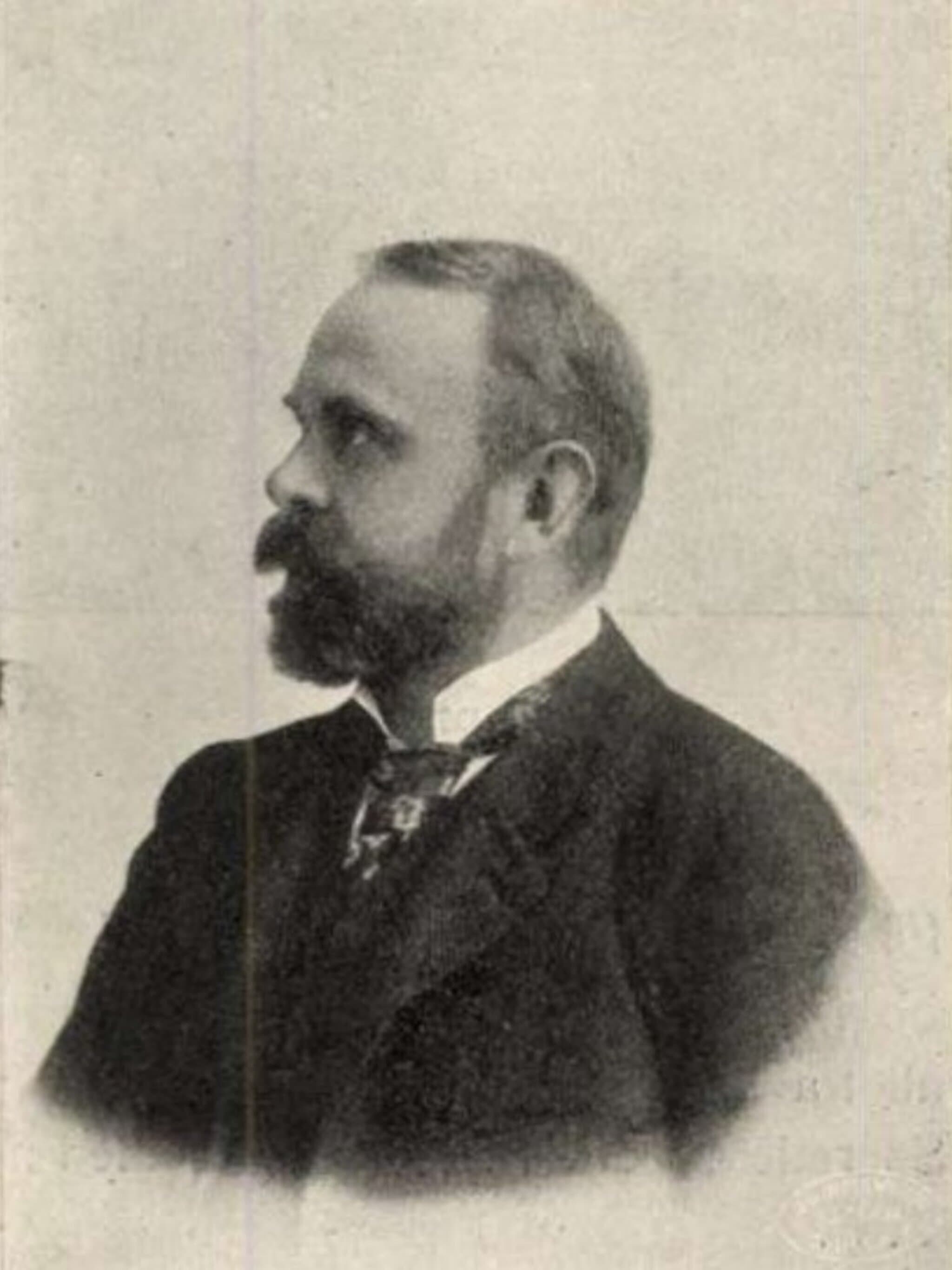 Vuk Gyula portréja