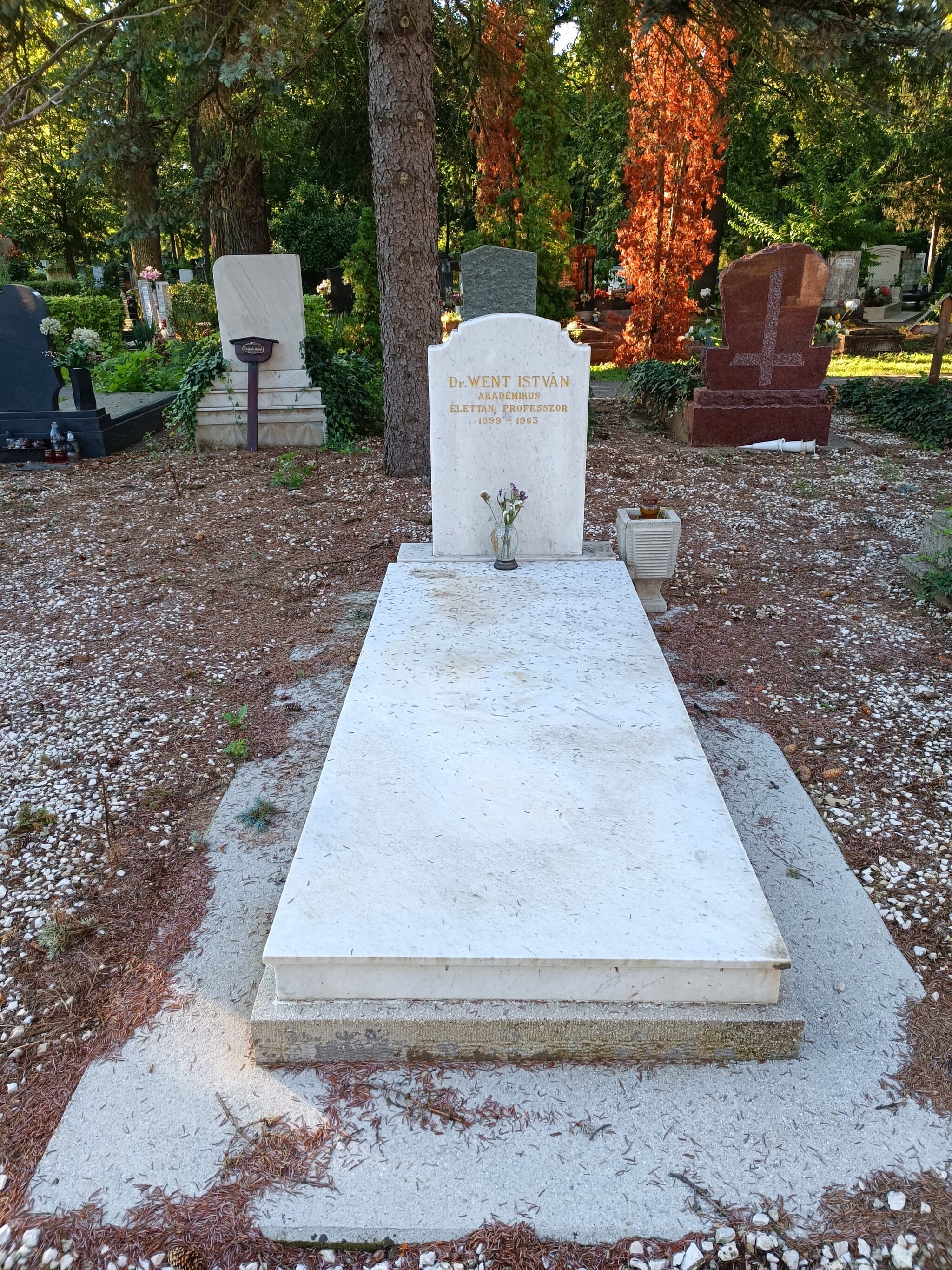 Went István sírja
