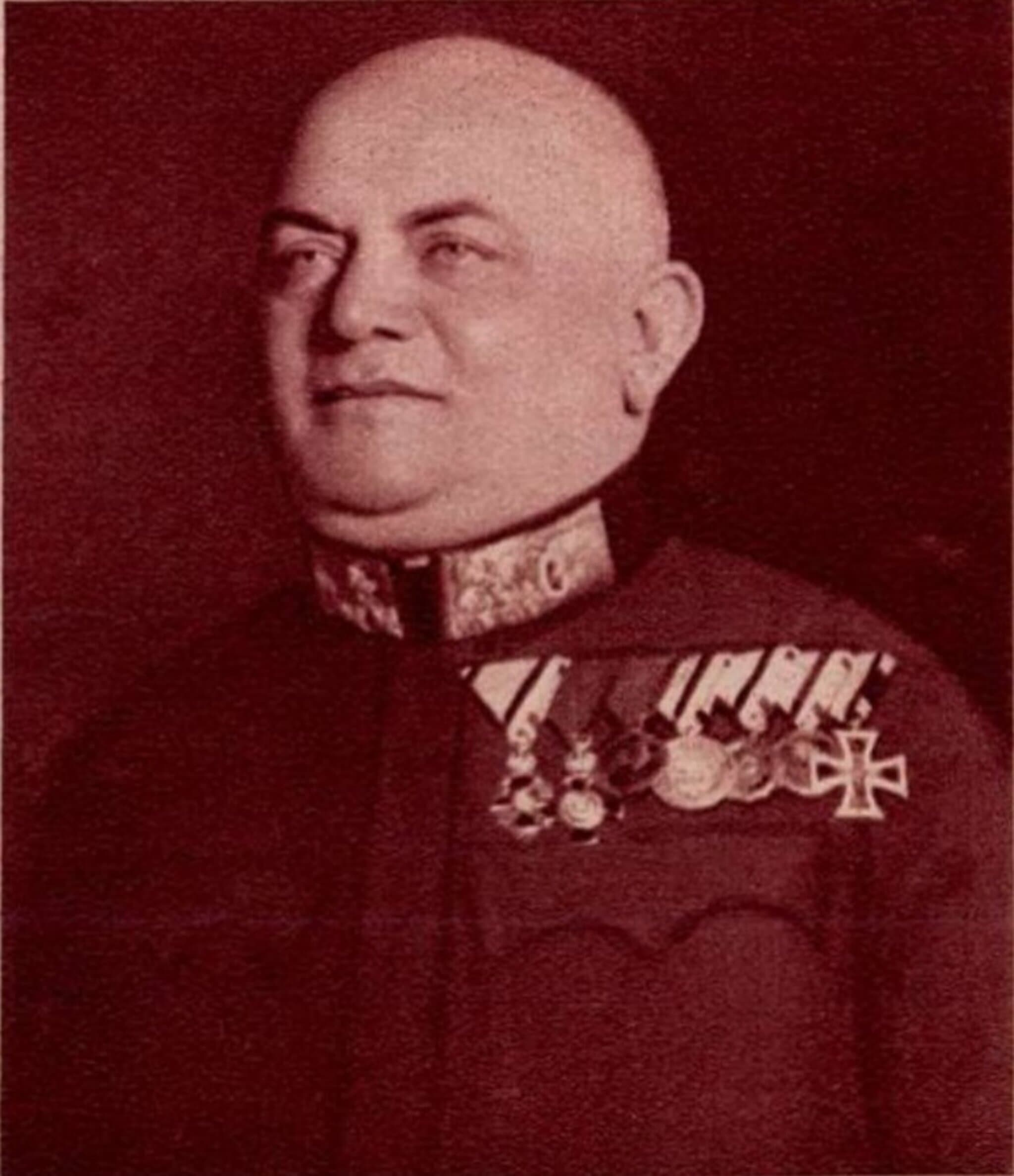 Wolf István portréja