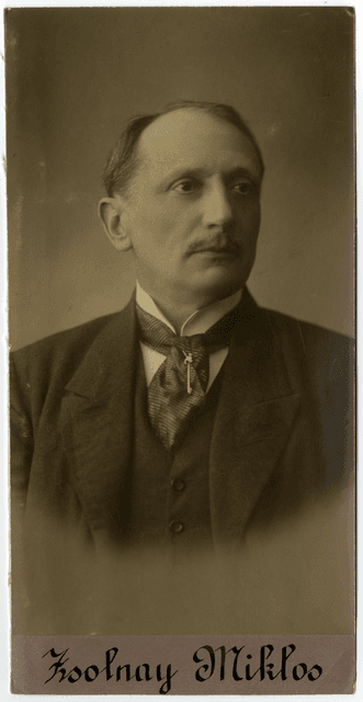 Zsolnay Miklós portréja