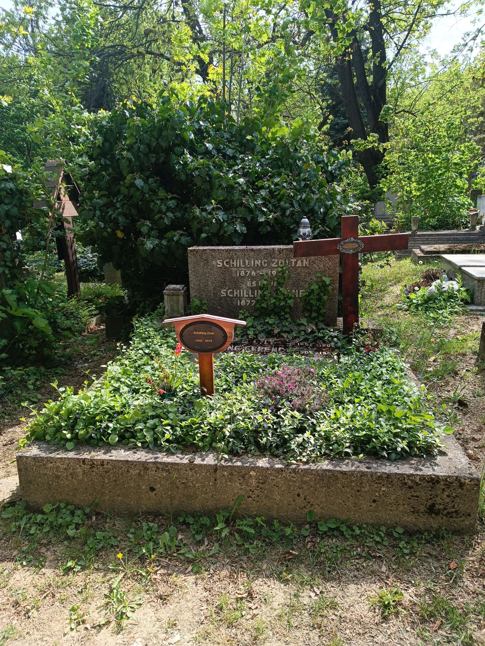 Schilling Zoltán sírja
