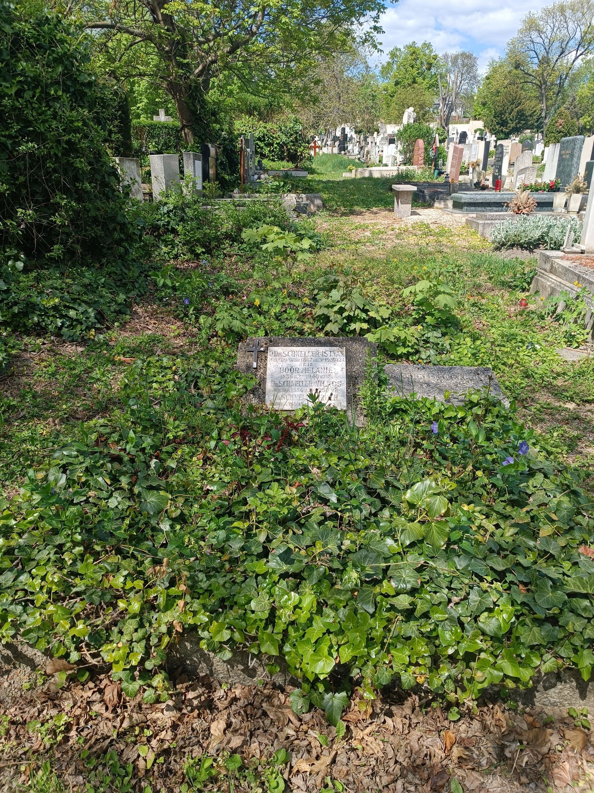 Schneller István sírja