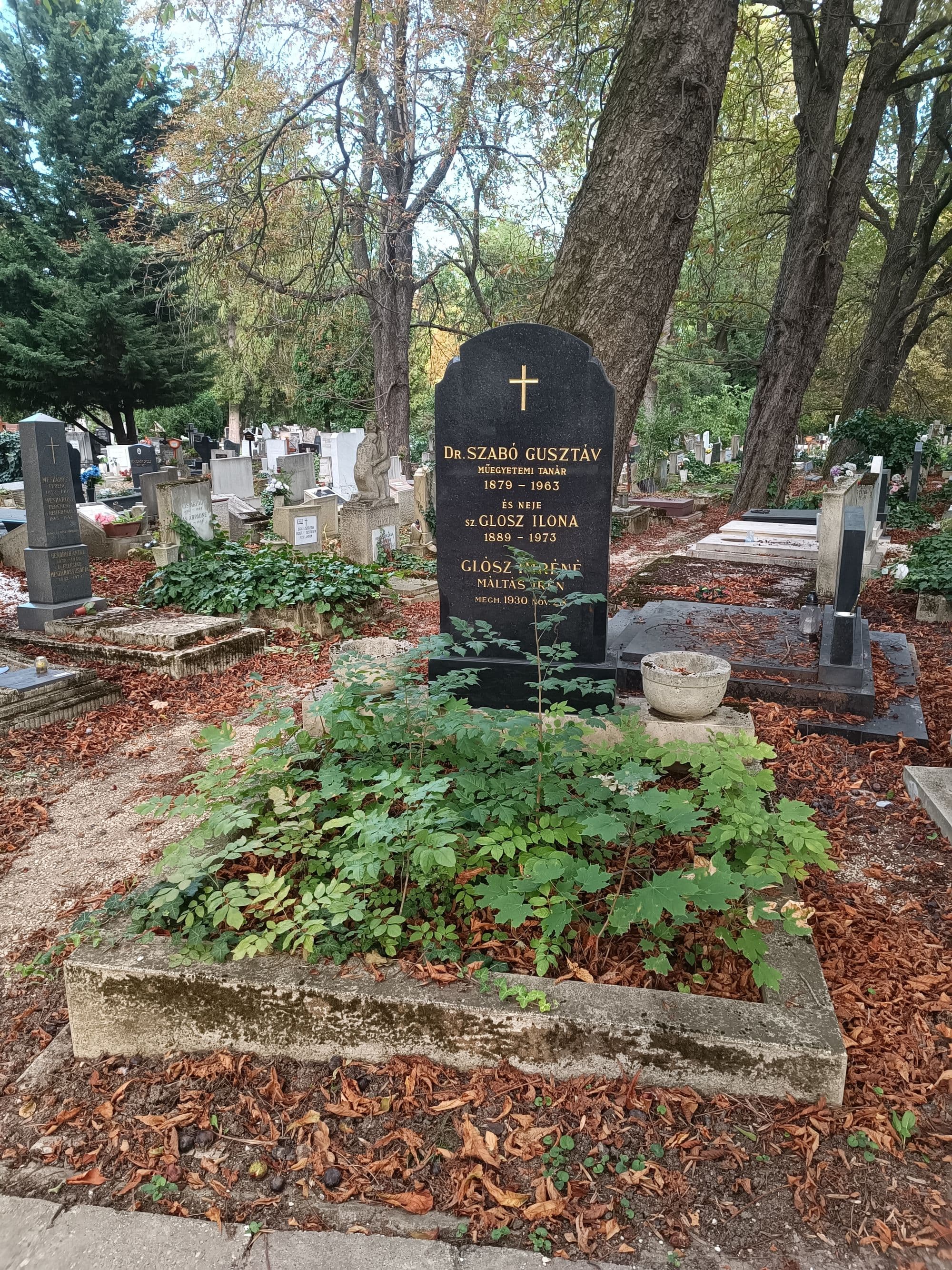 Szabó Gusztáv sírja