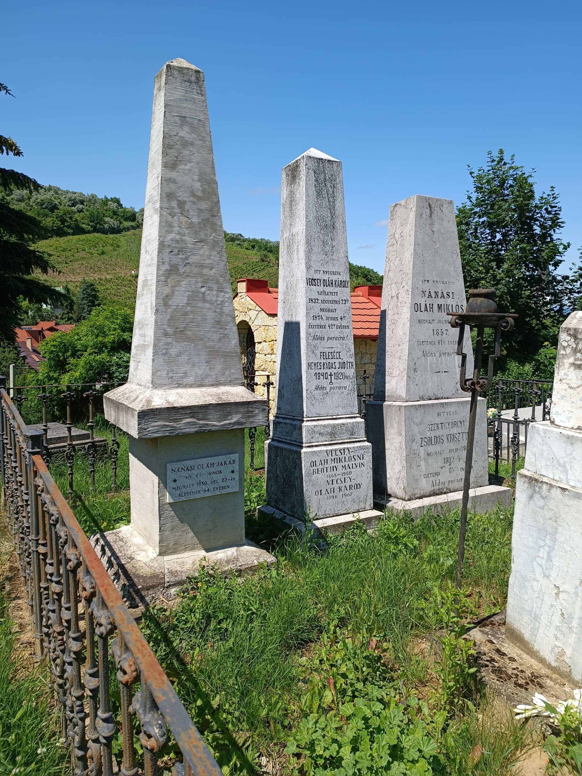 Vecsey-Oláh Károly sírja