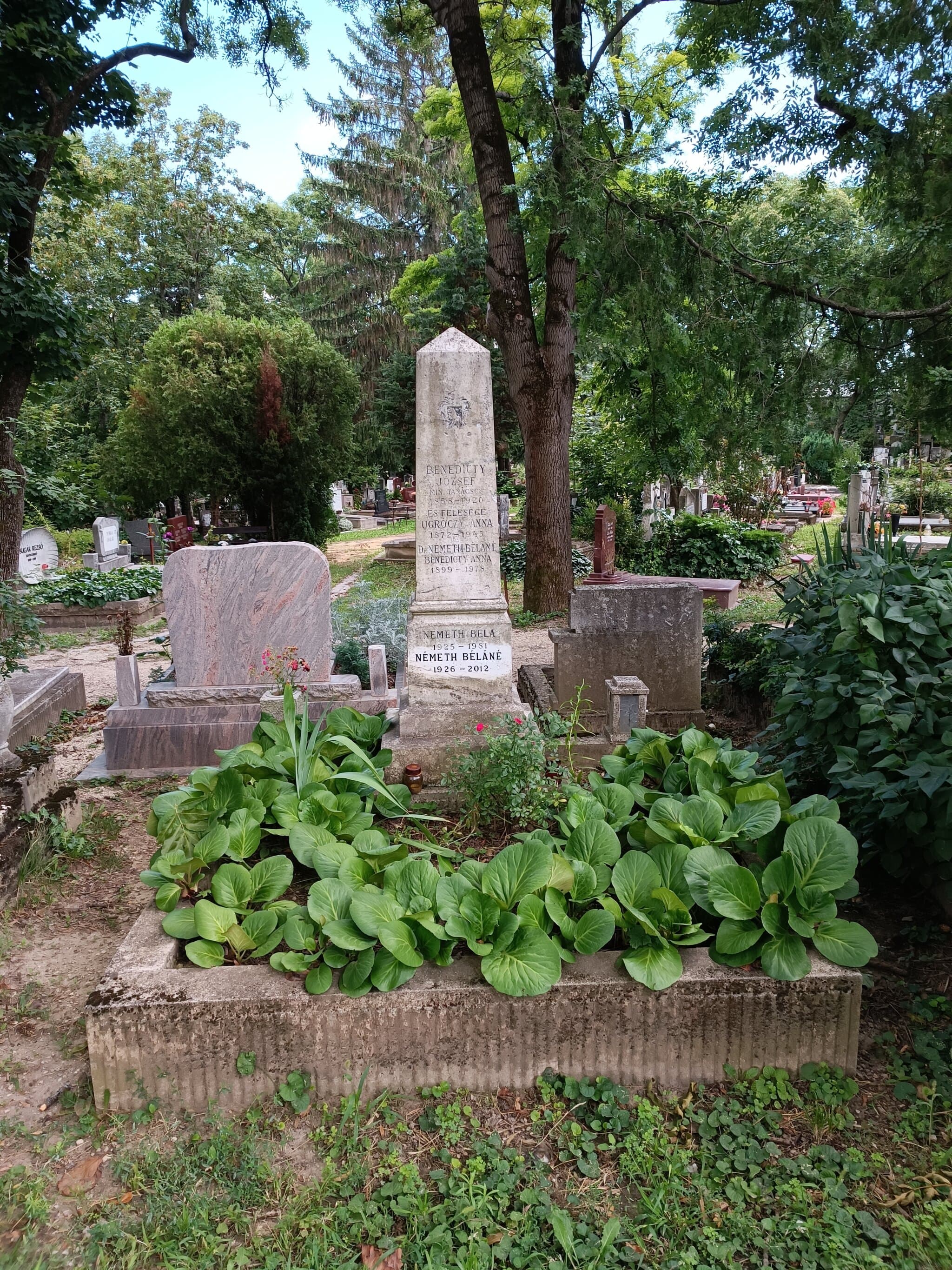 Benedicty József sírja
