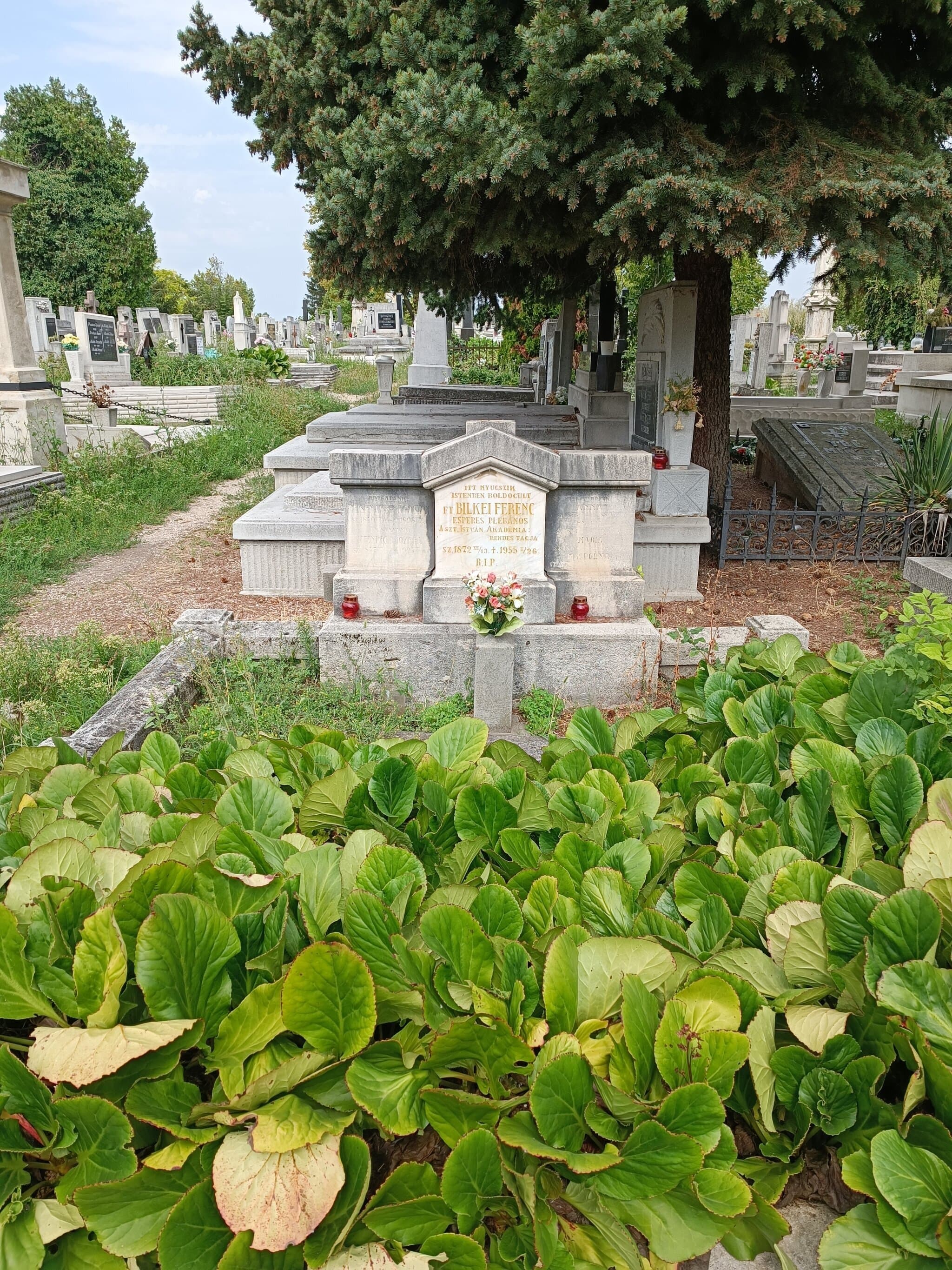 Bilkei Ferenc sírja
