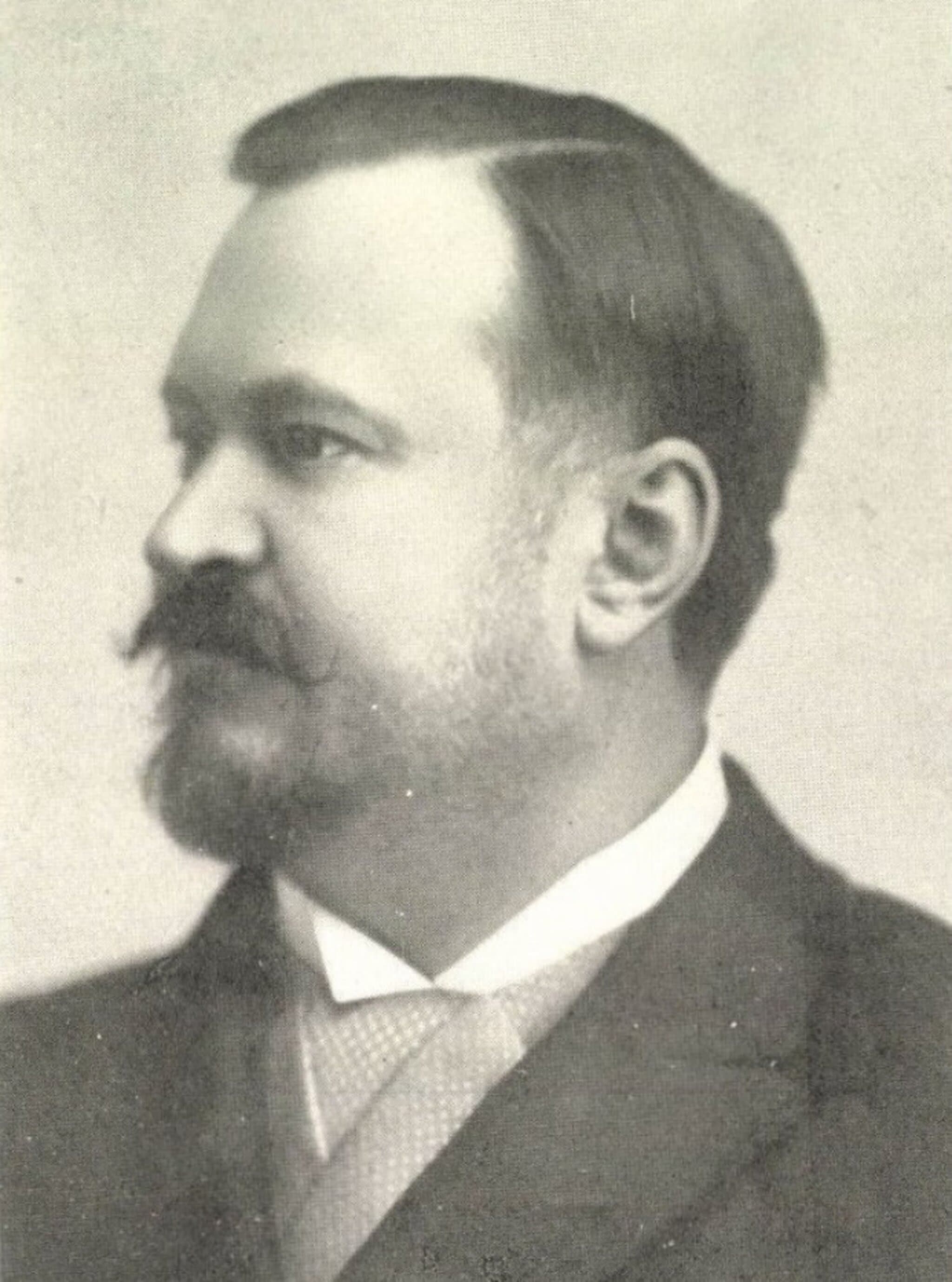 Borovszky Samu portréja