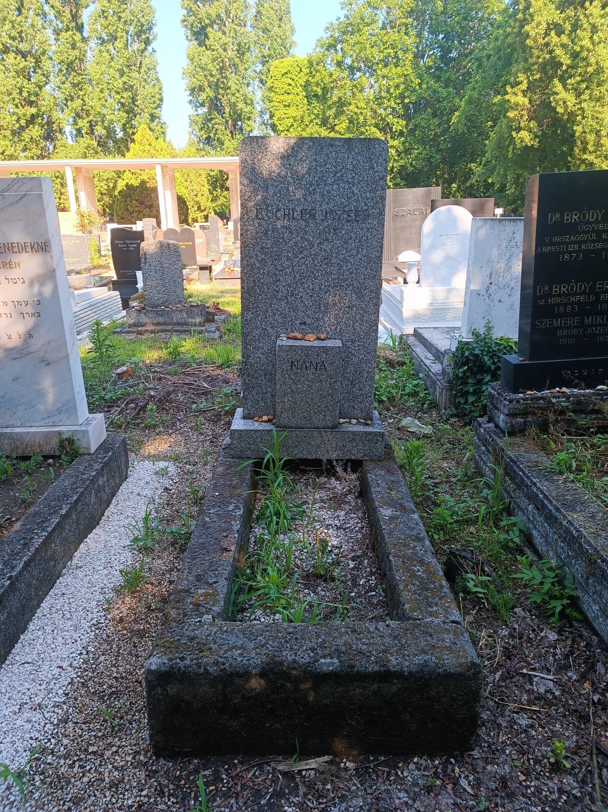 Büchler József sírja