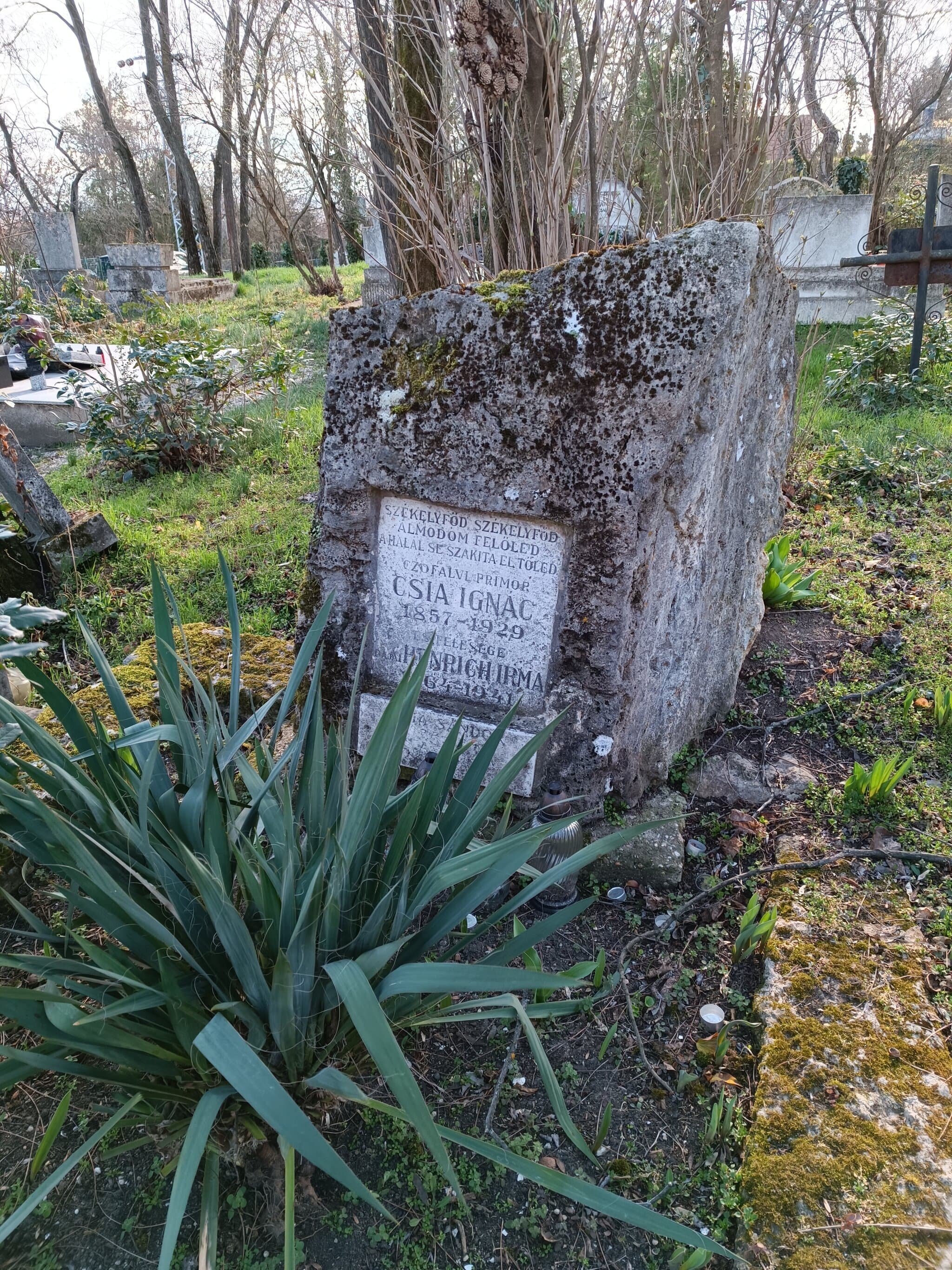 czófalvi Csia Sándor sírja