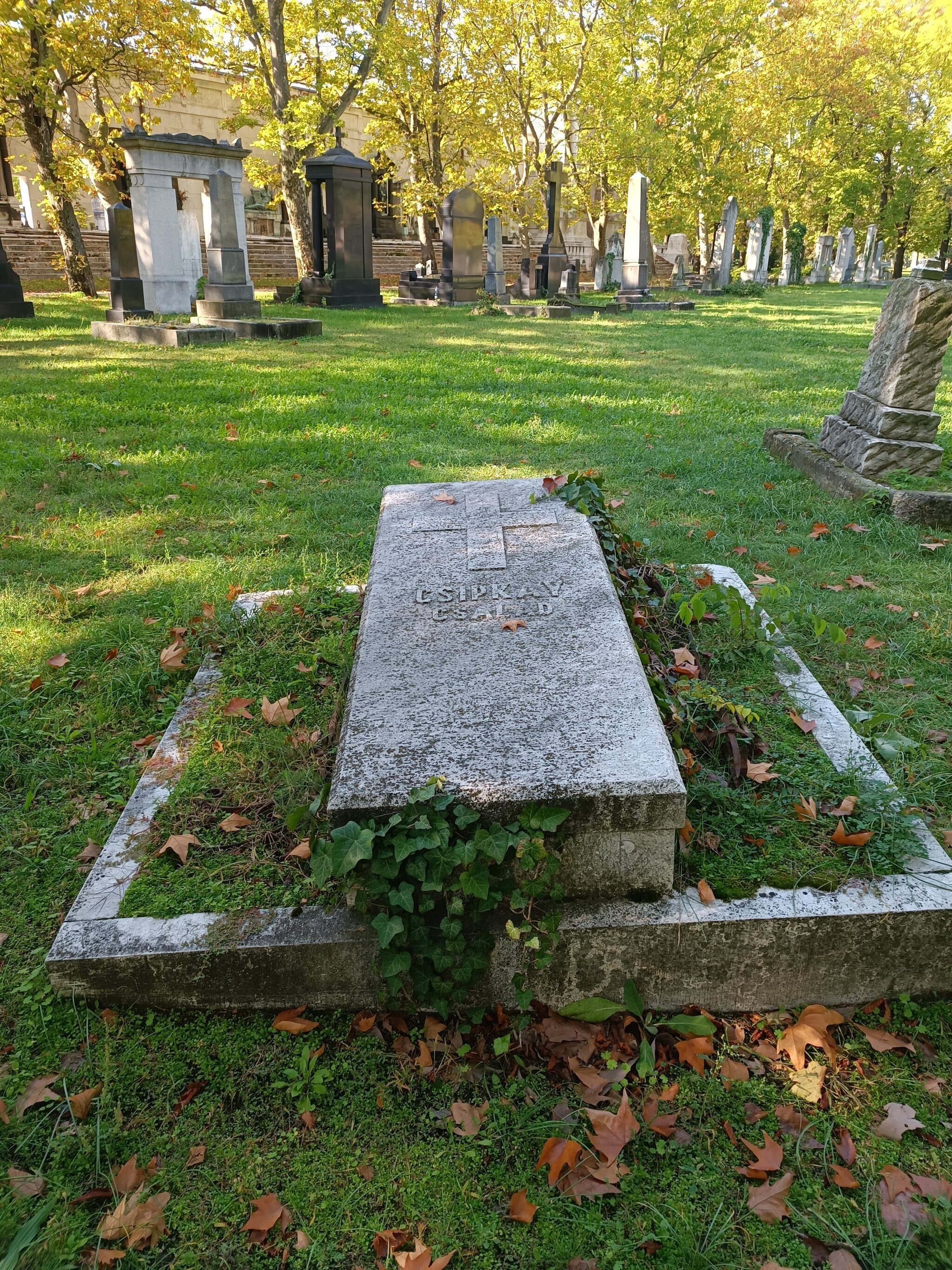 Csipkay Károly sírja
