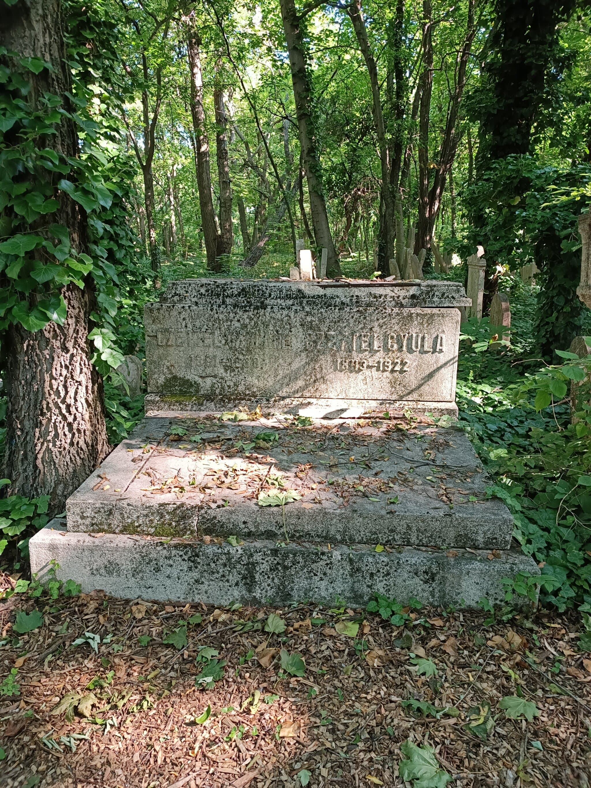 Czettel Gyula sírja