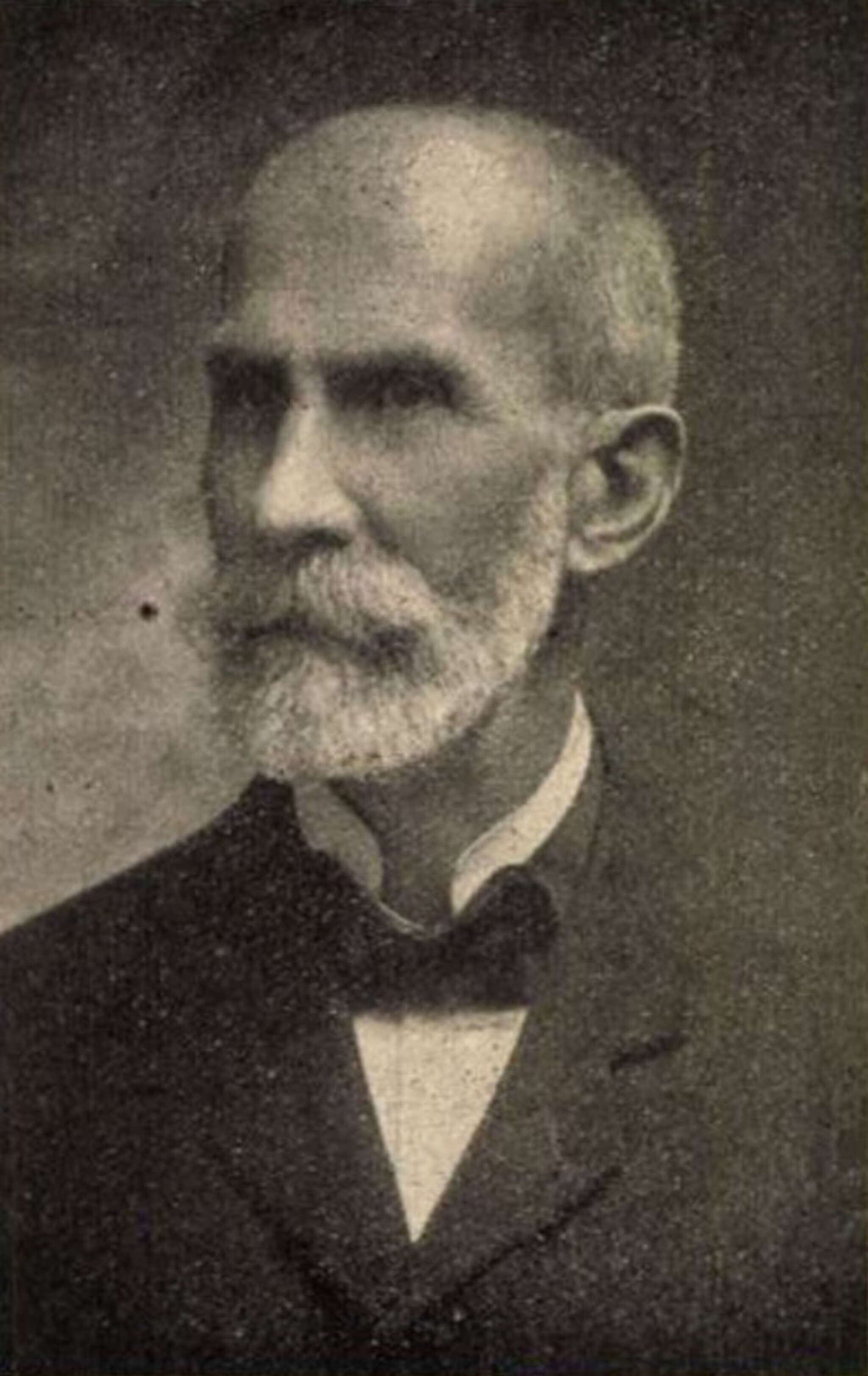 Devecis Del Vecchio Ferenc portréja