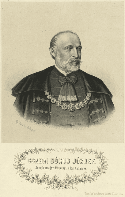 Dókus József portréja