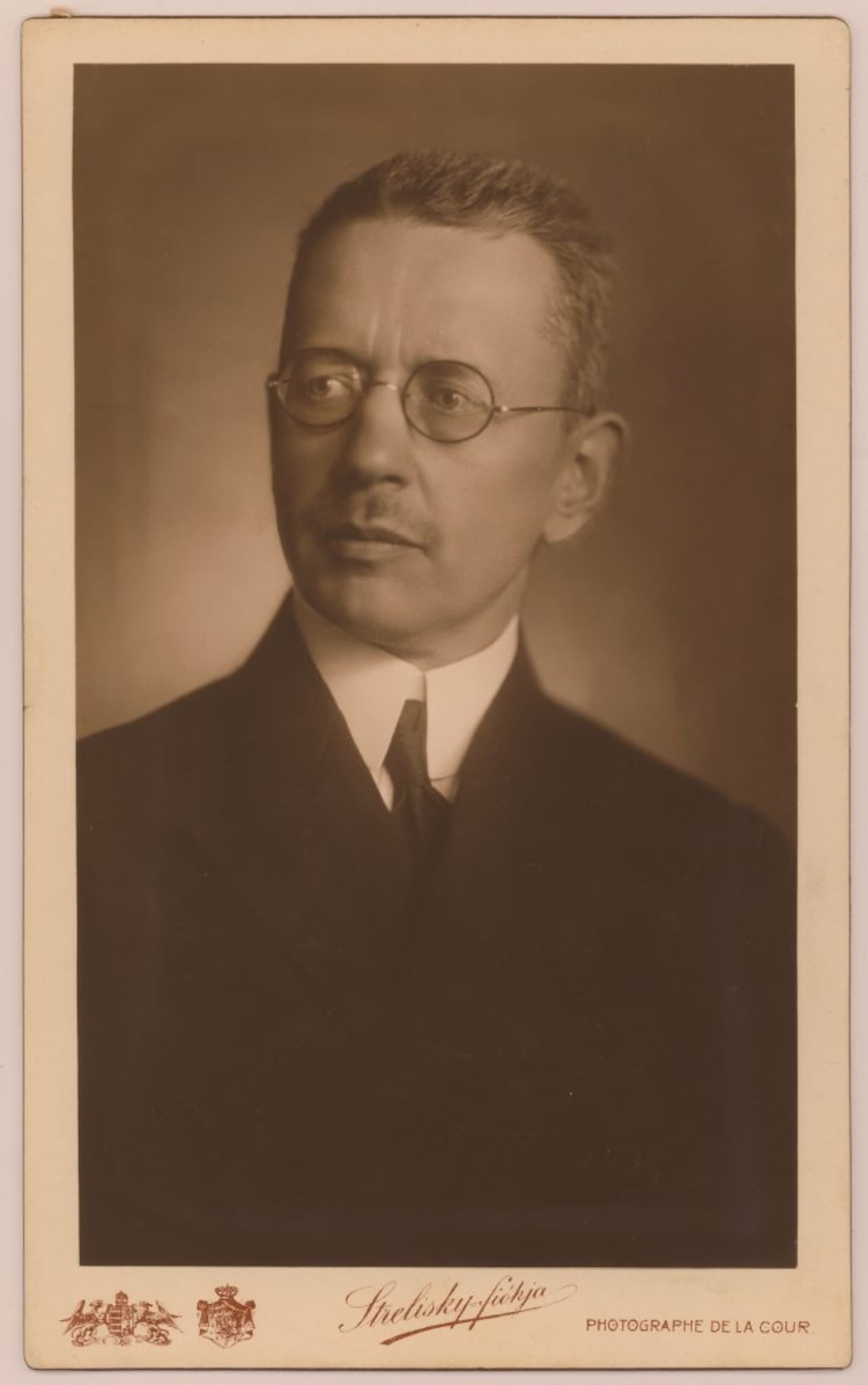 Domanovszky Sándor portréja
