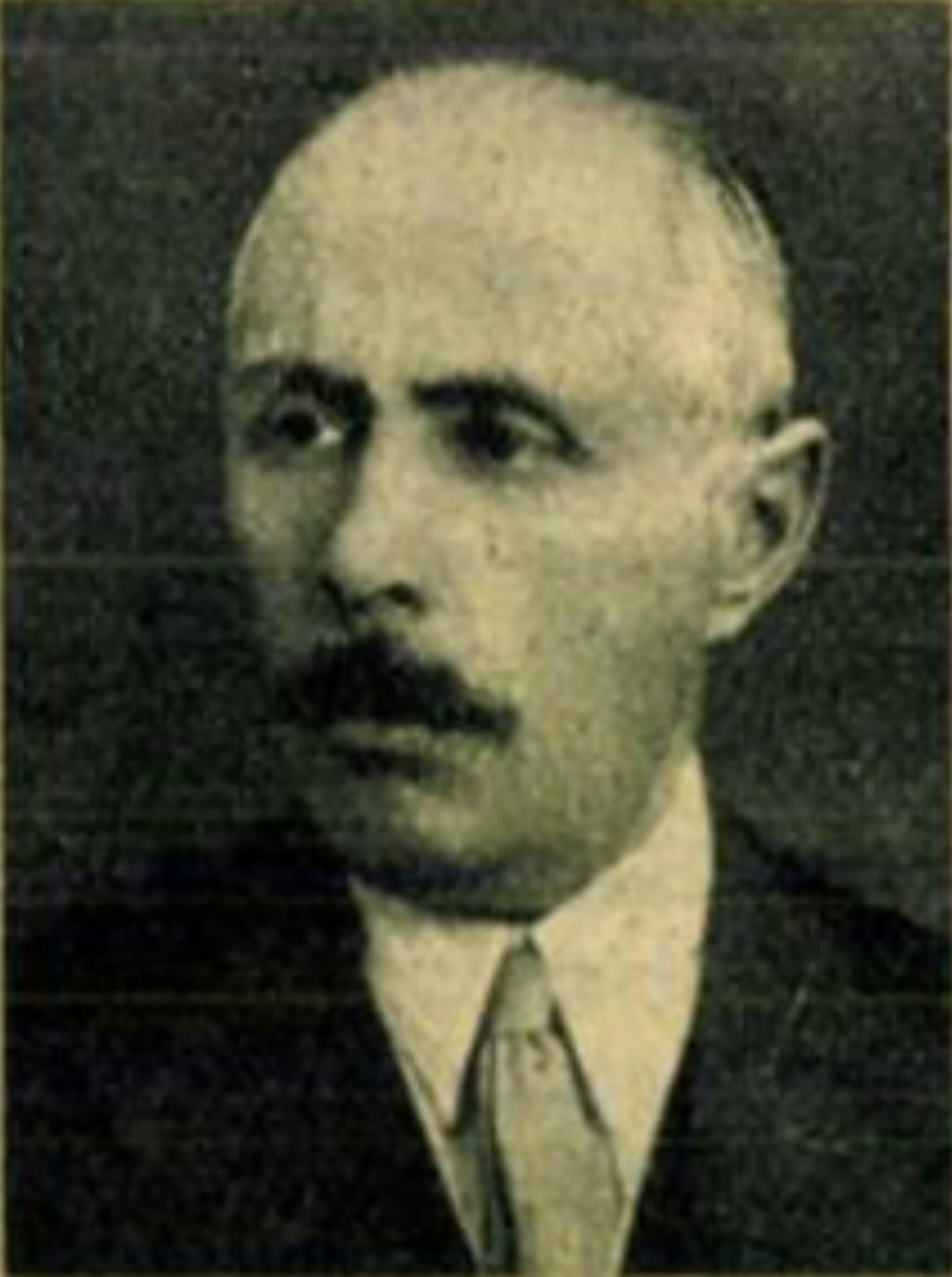 Elek Ferenc portréja