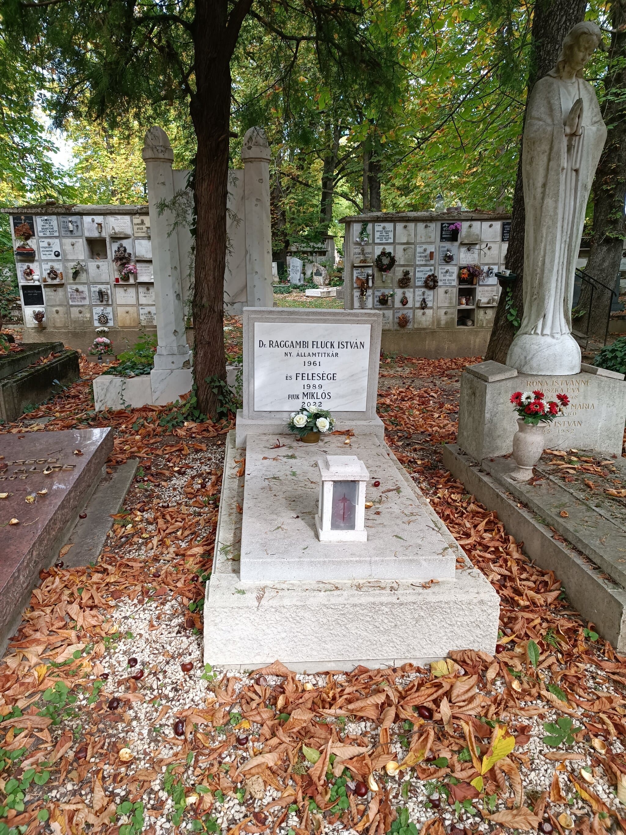 raggambi Fluck István sírja
