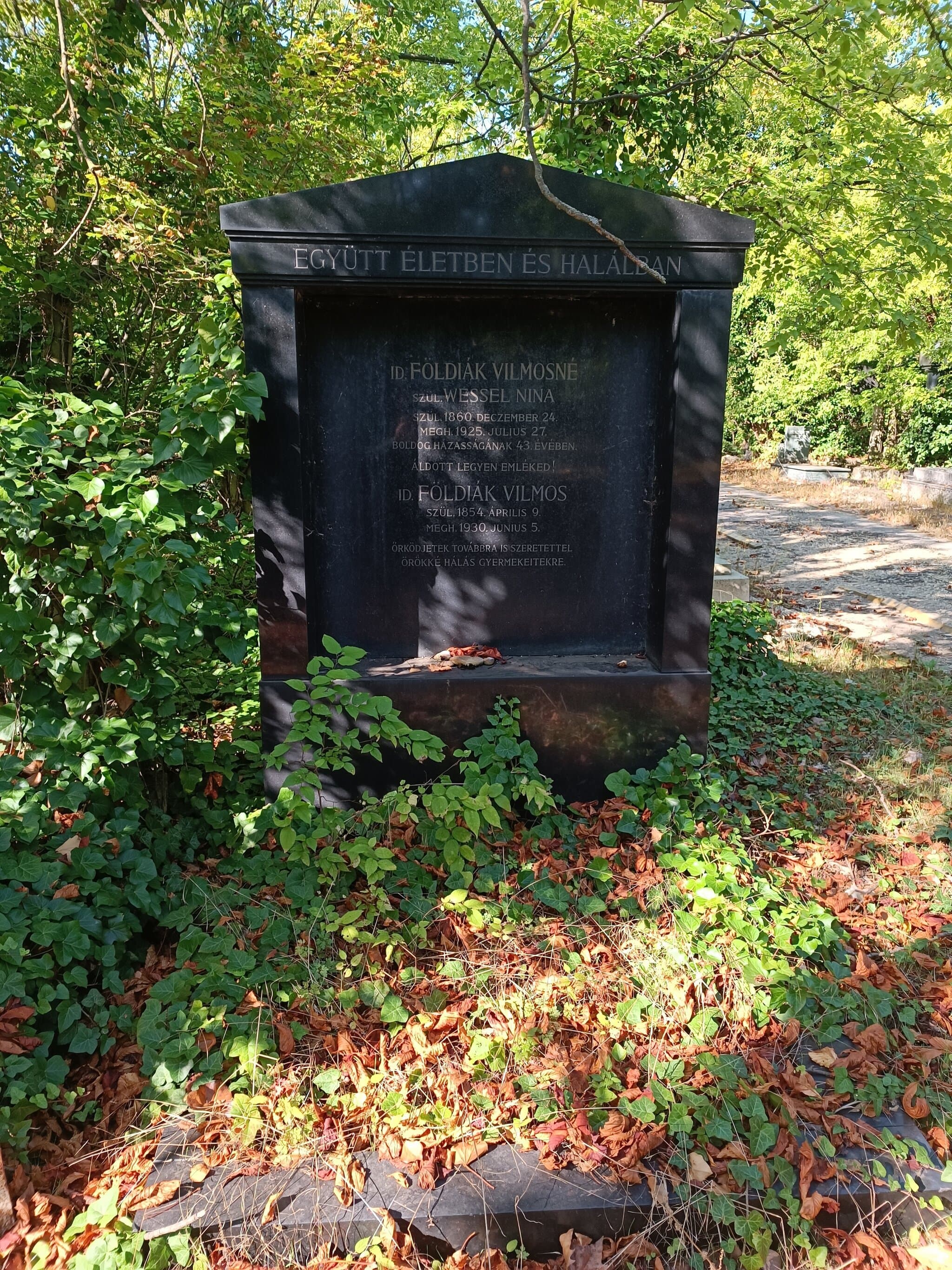 Földiák Vilmos sírja