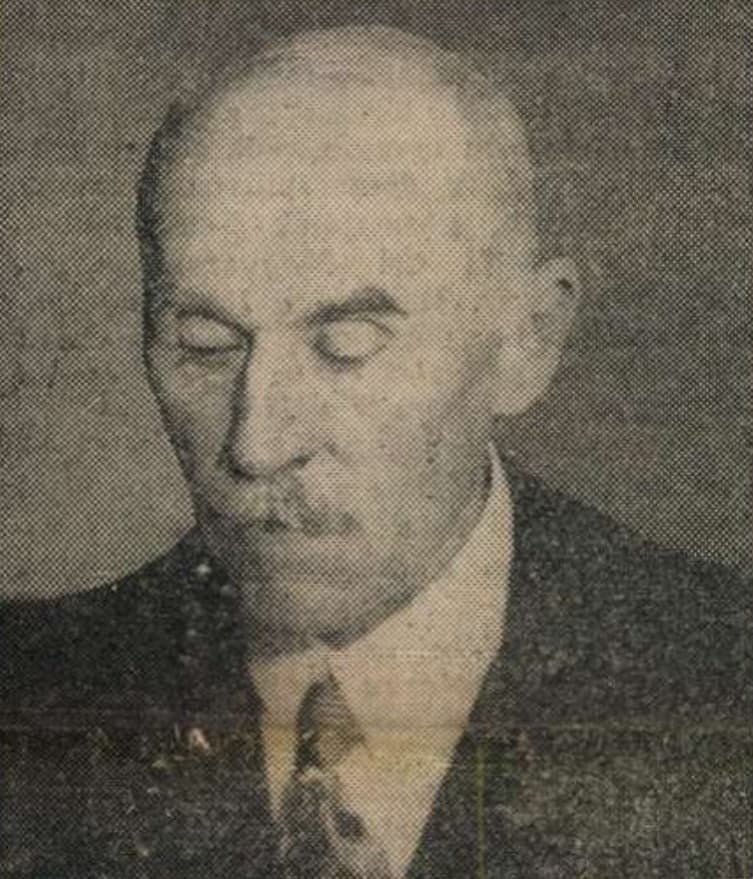 Gáll Endre portréja