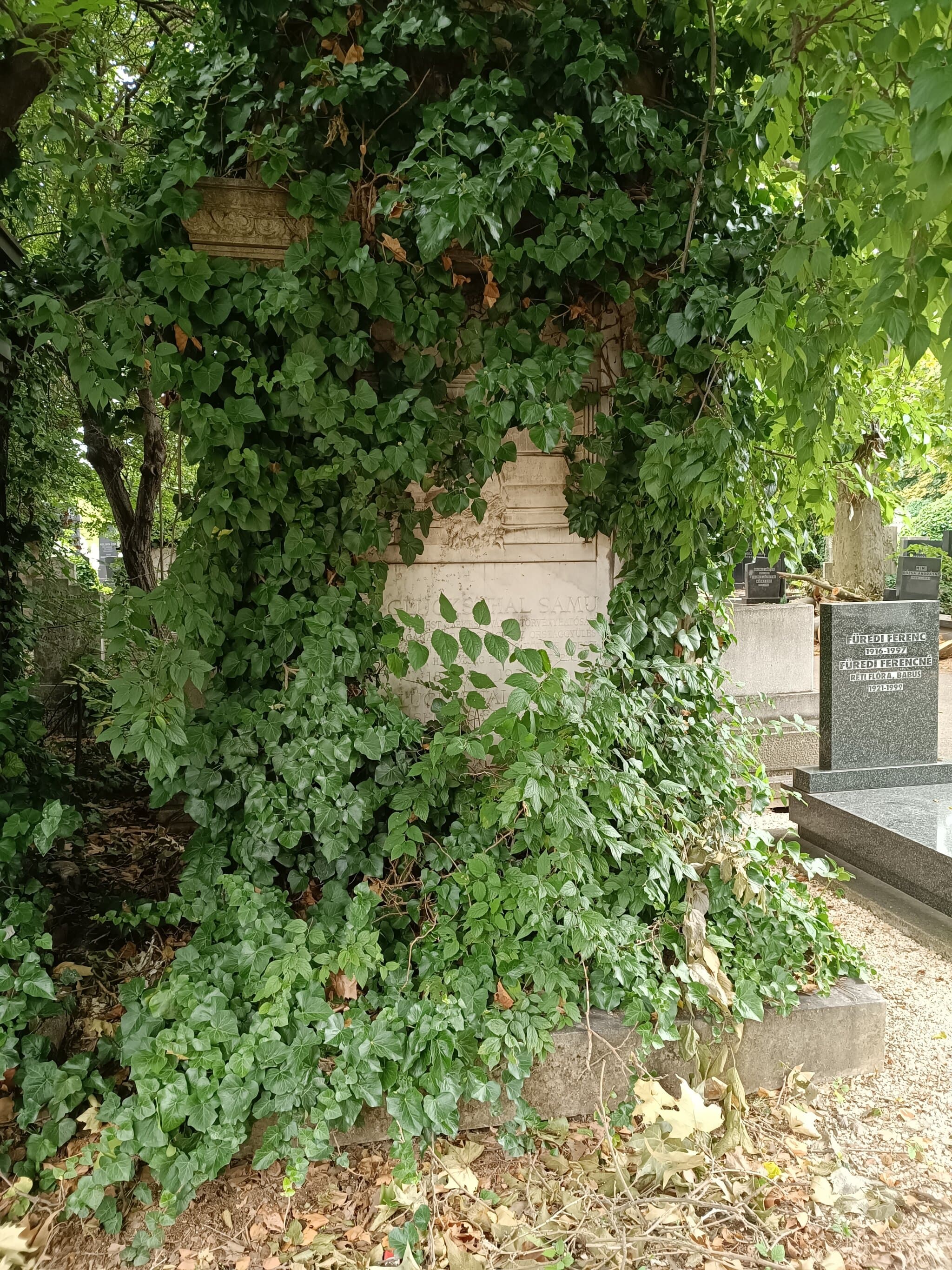 Glücksthal Samu sírja