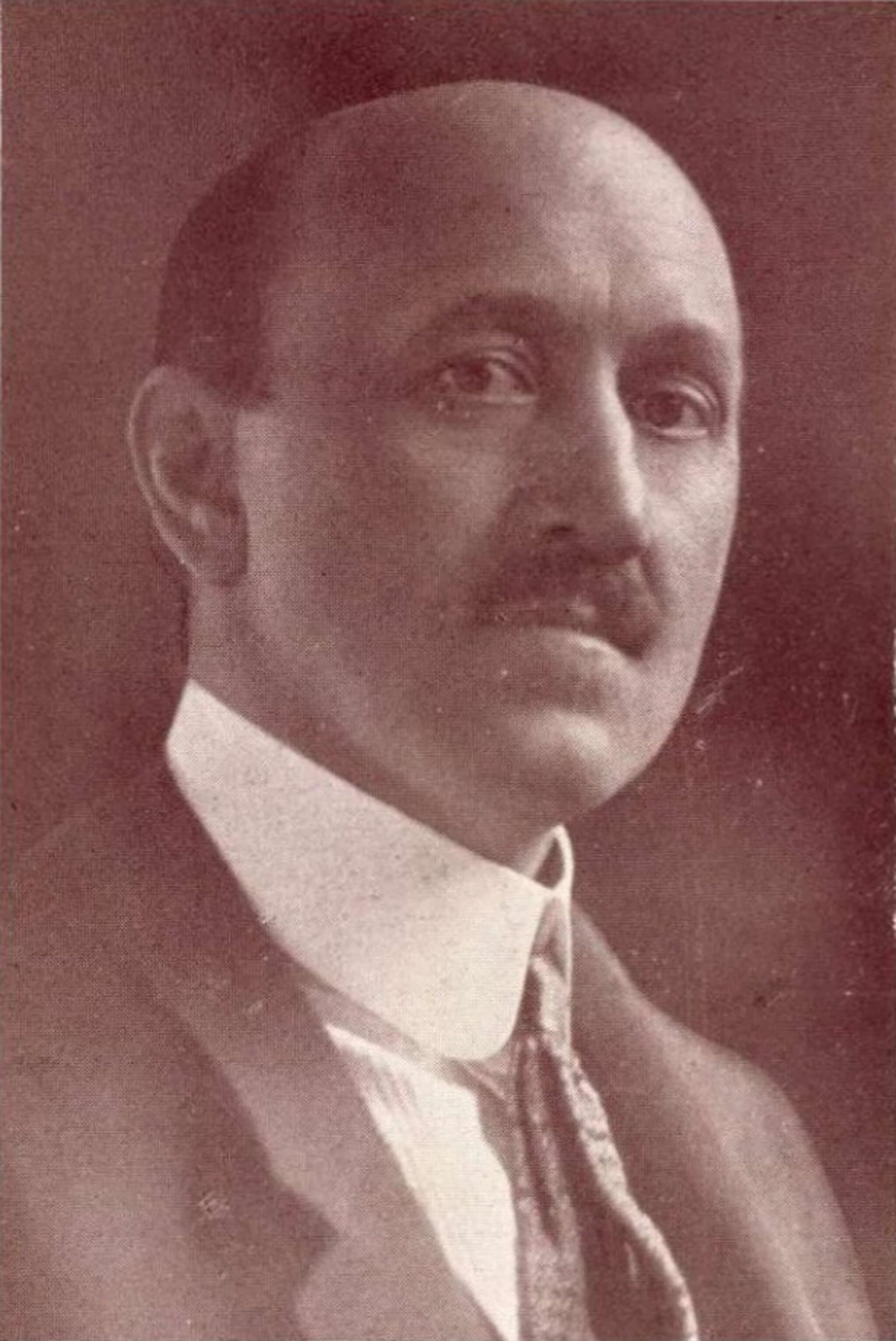 Gyallay Pap Domokos portréja