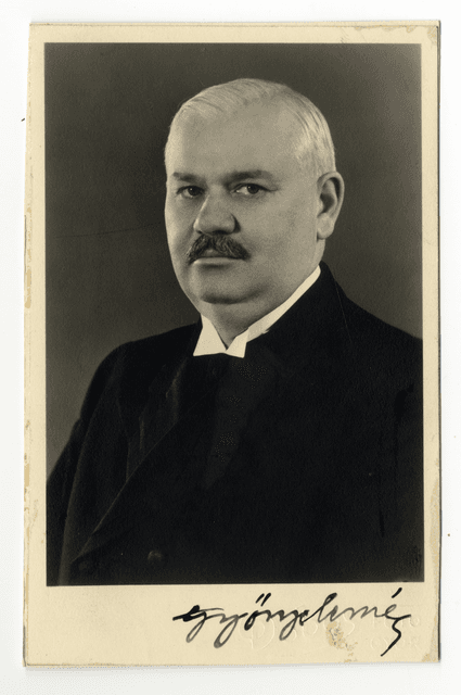Győry Elemér portréja