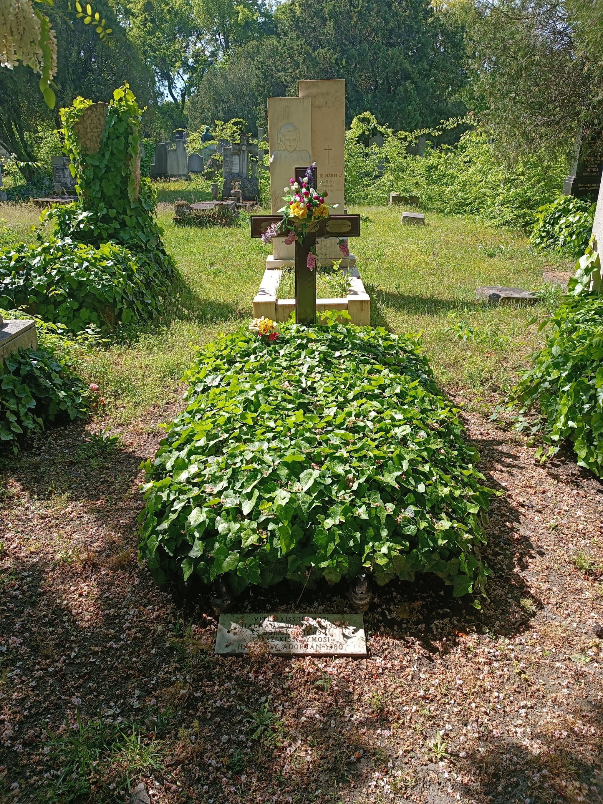 kissolymosi Hadnagy Domokos sírja