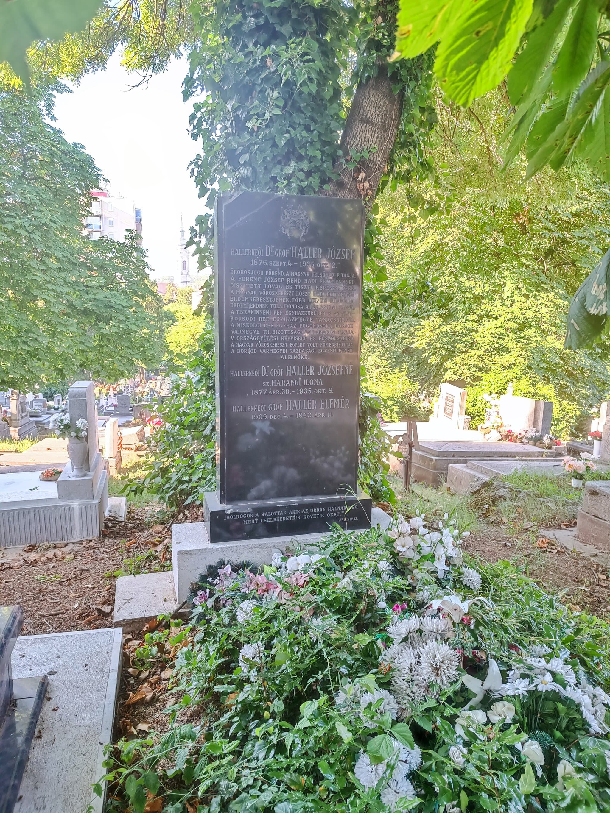 hallerkeői gróf Haller József 1876 sírja