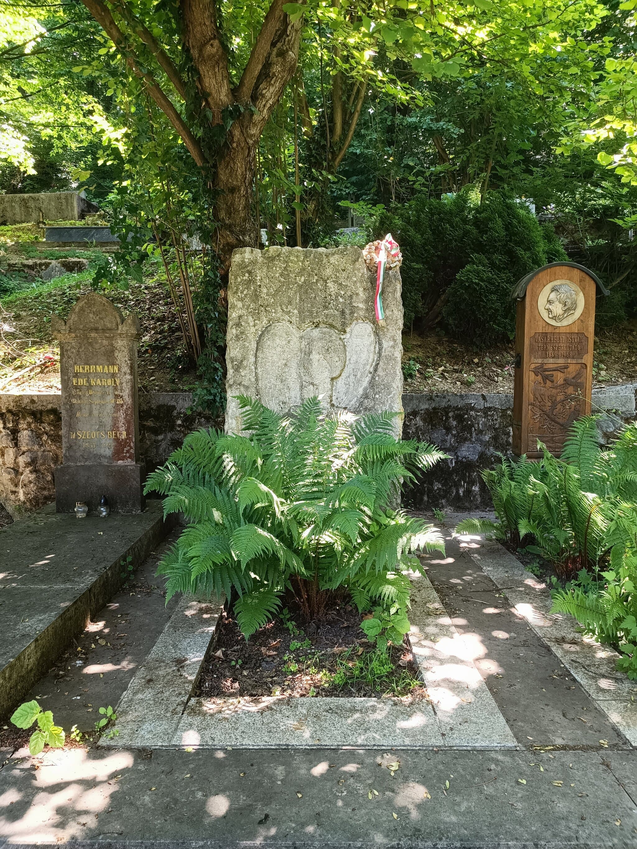 Herman Ottó sírja