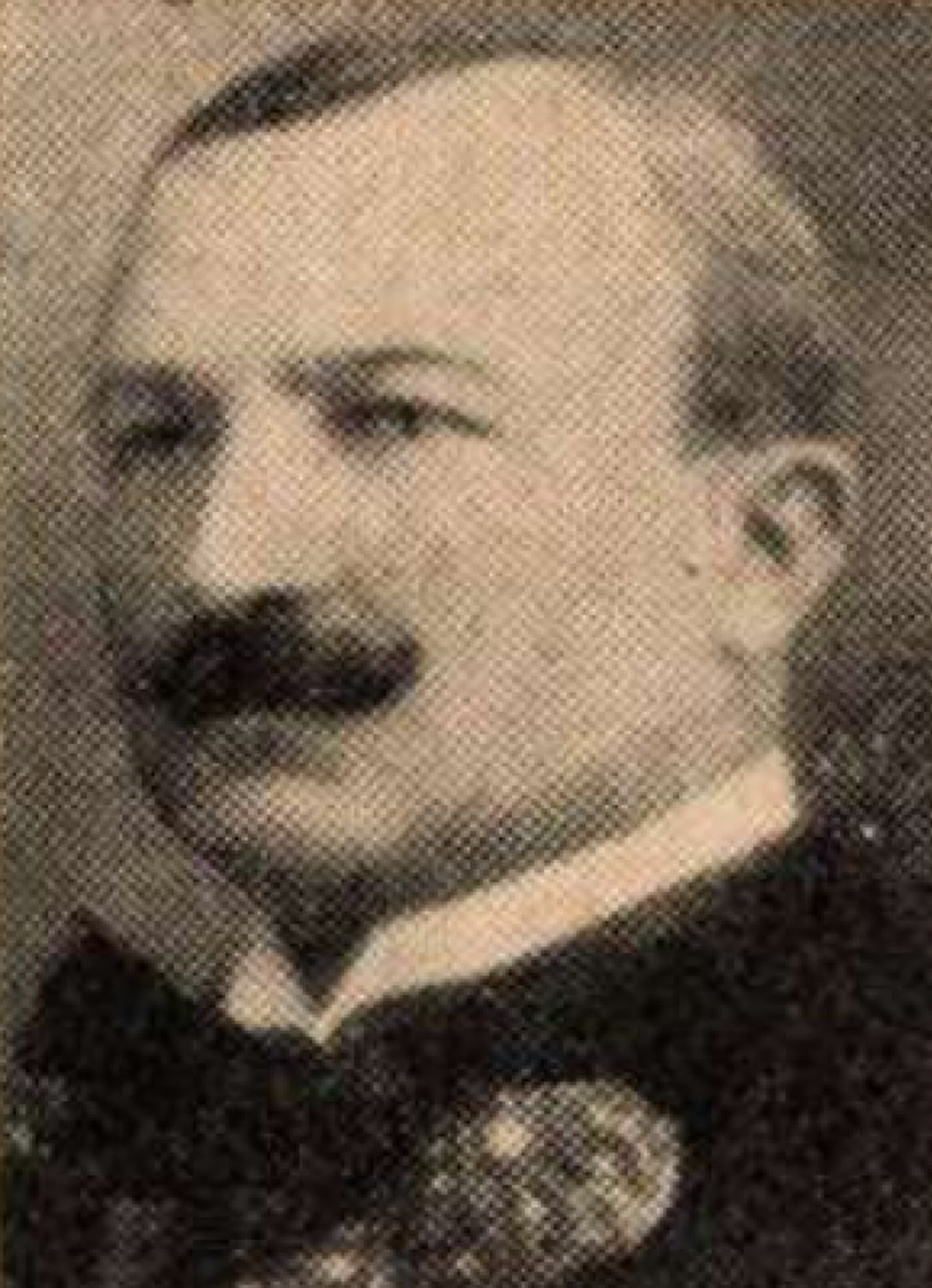 Hertelendy Miklós portréja