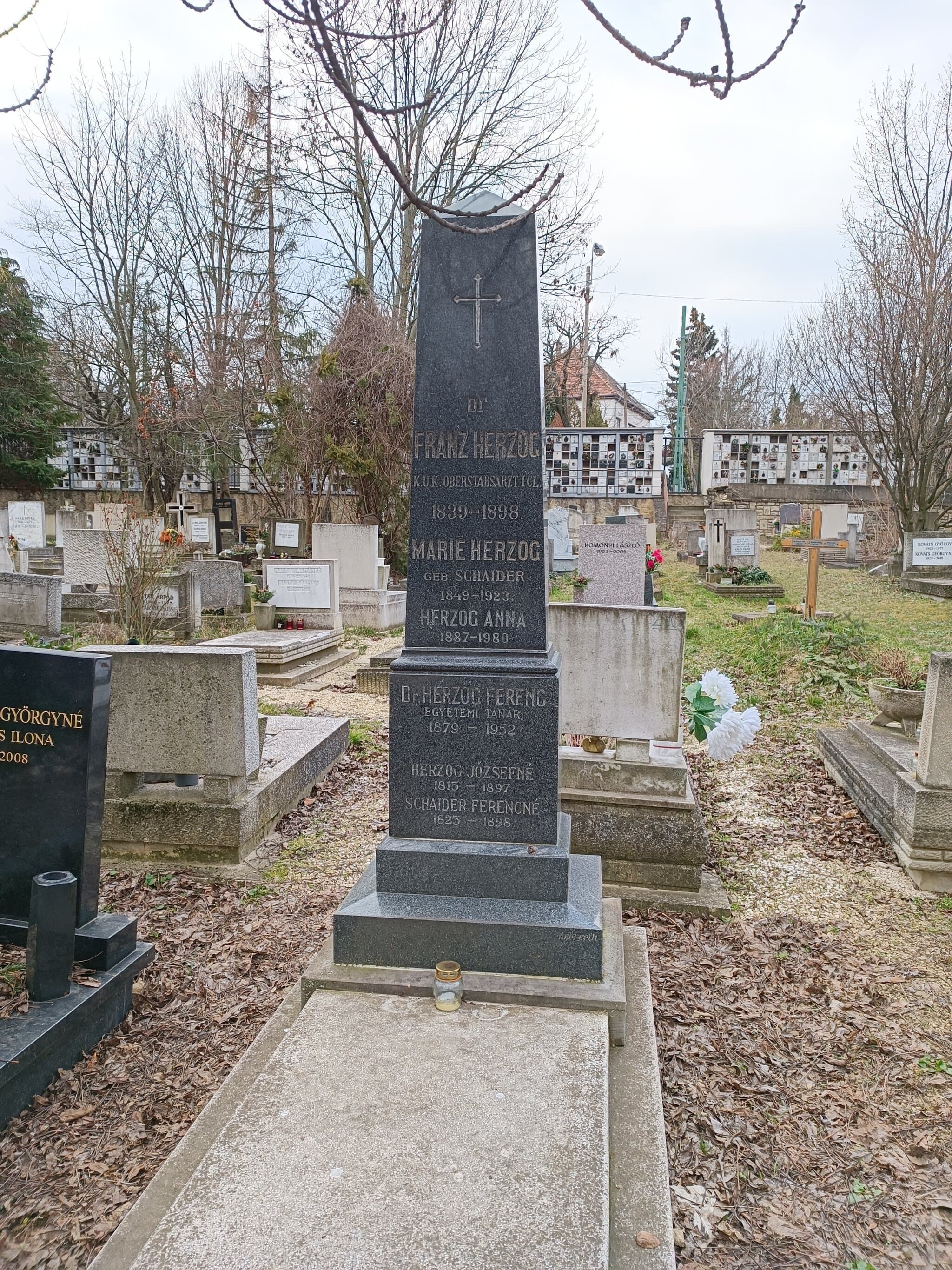 Herzog Ferenc sírja