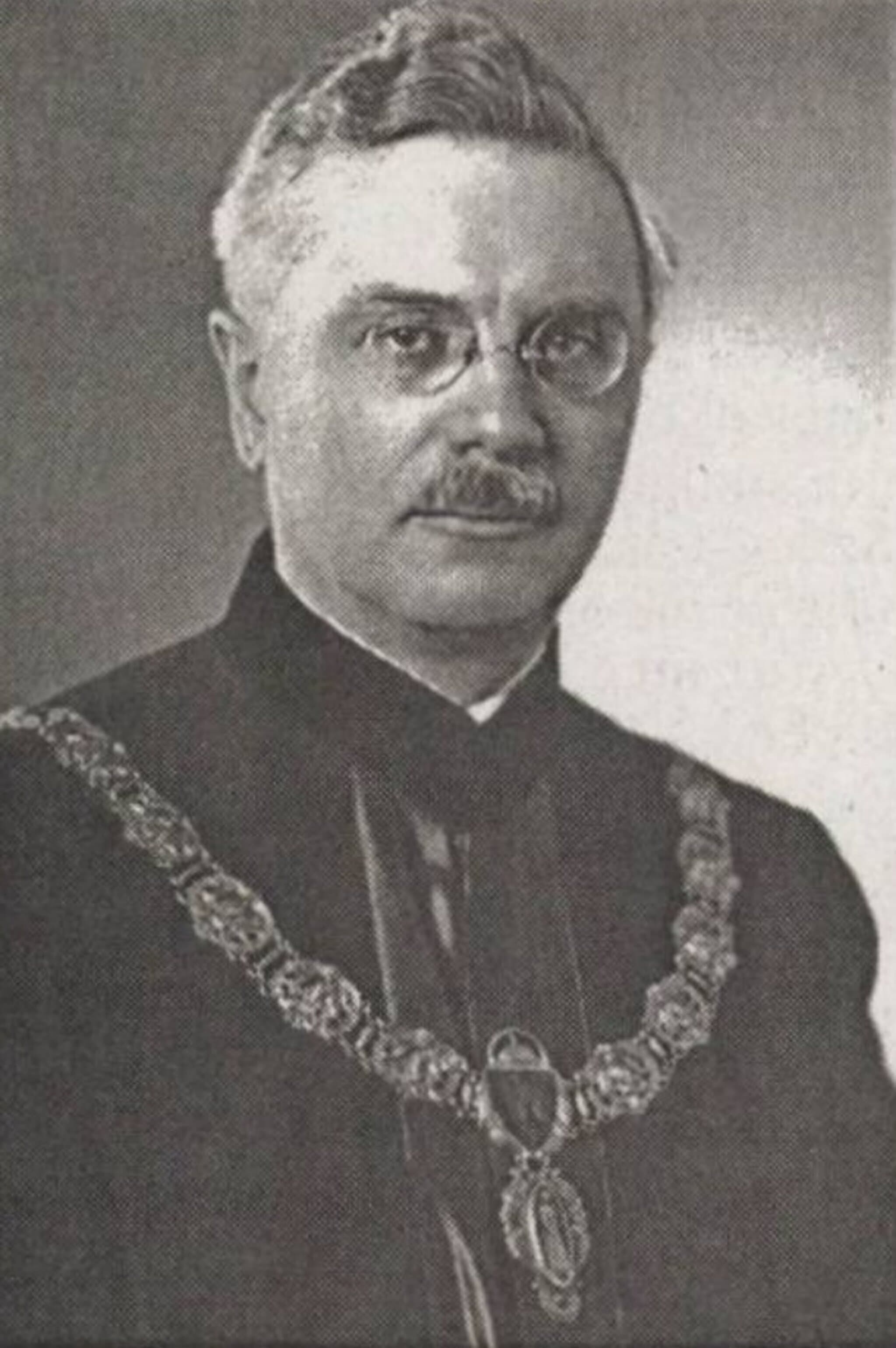 Holub József portréja