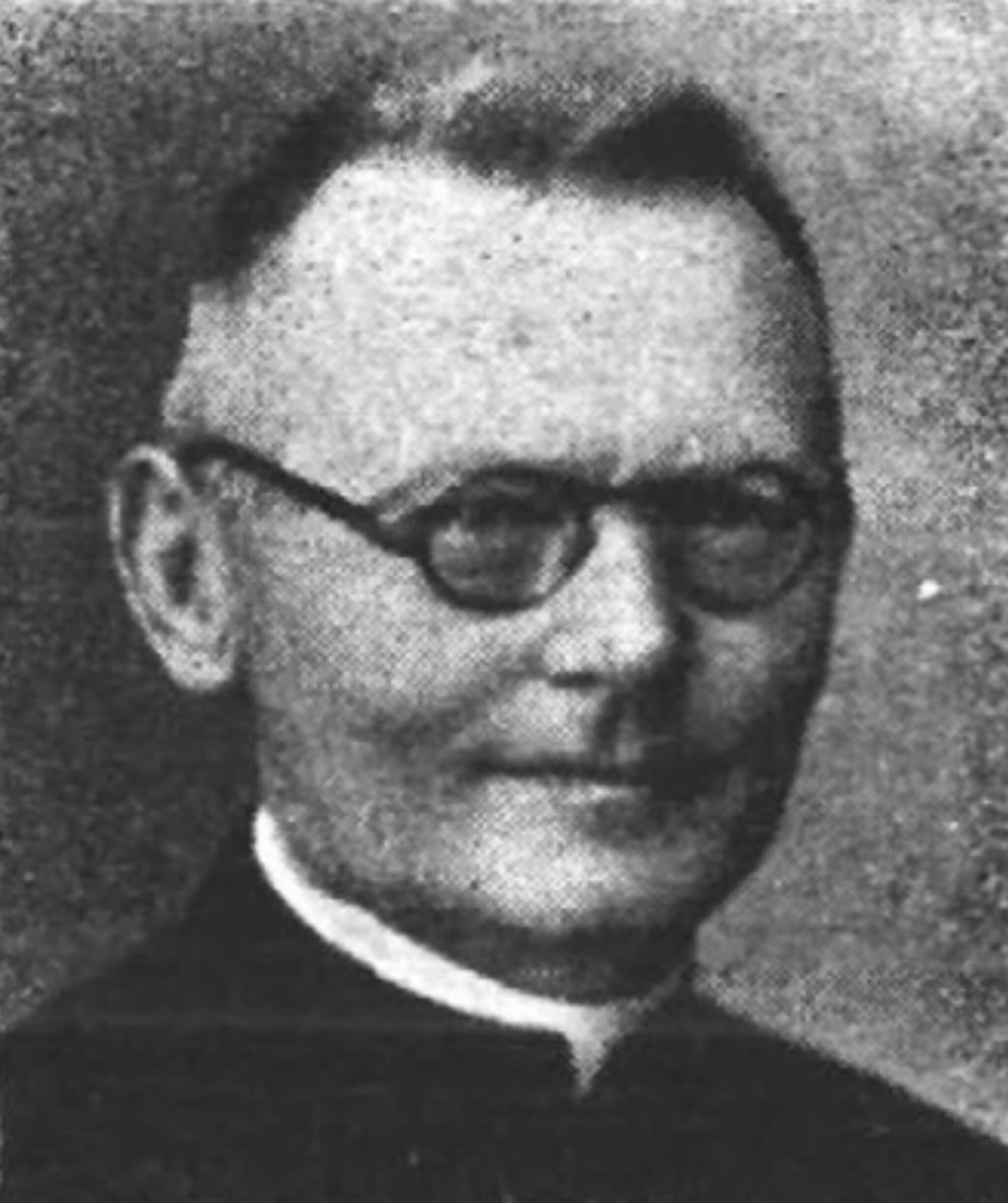 Hoss József portréja