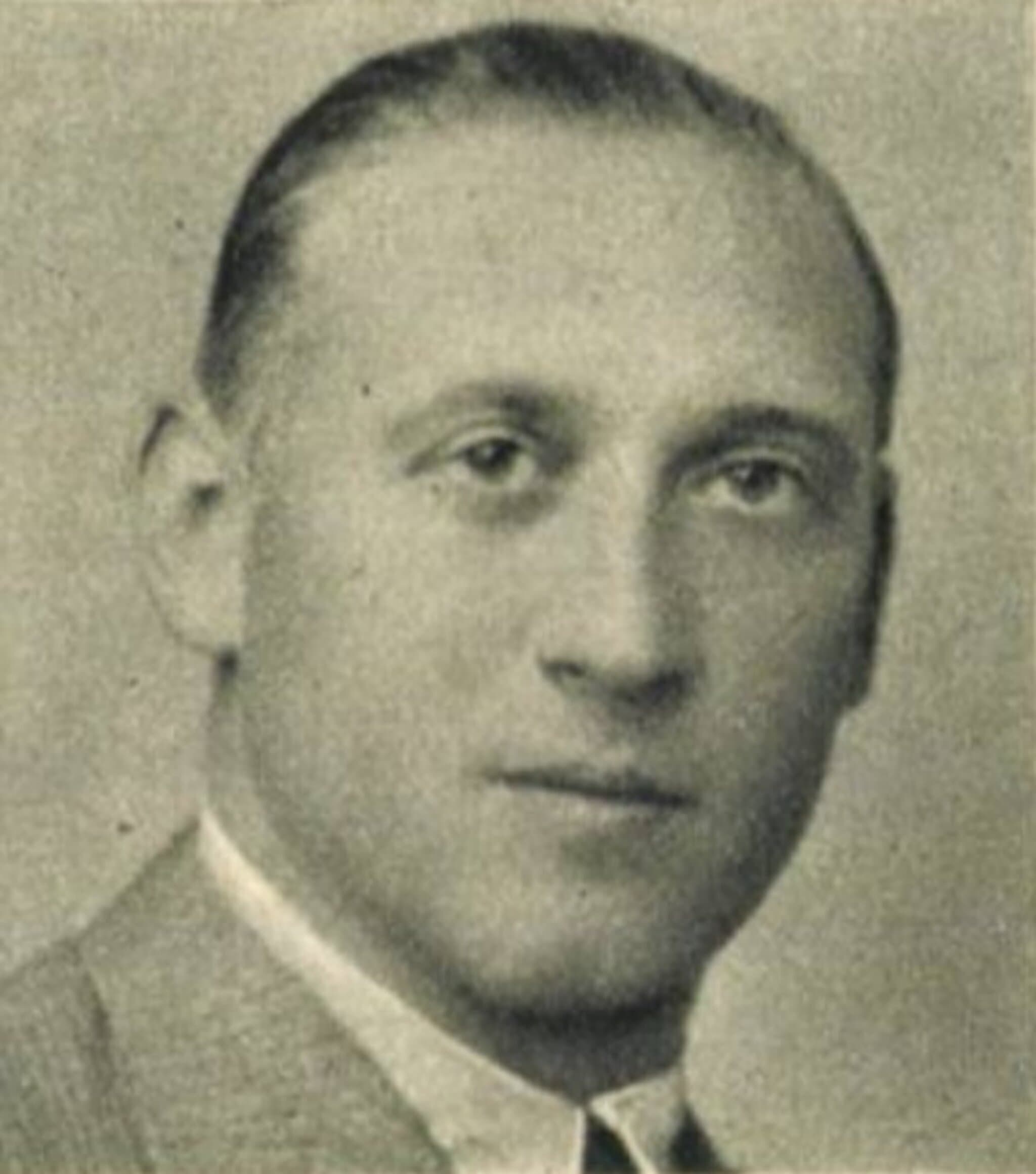 Hubay Sándor portréja