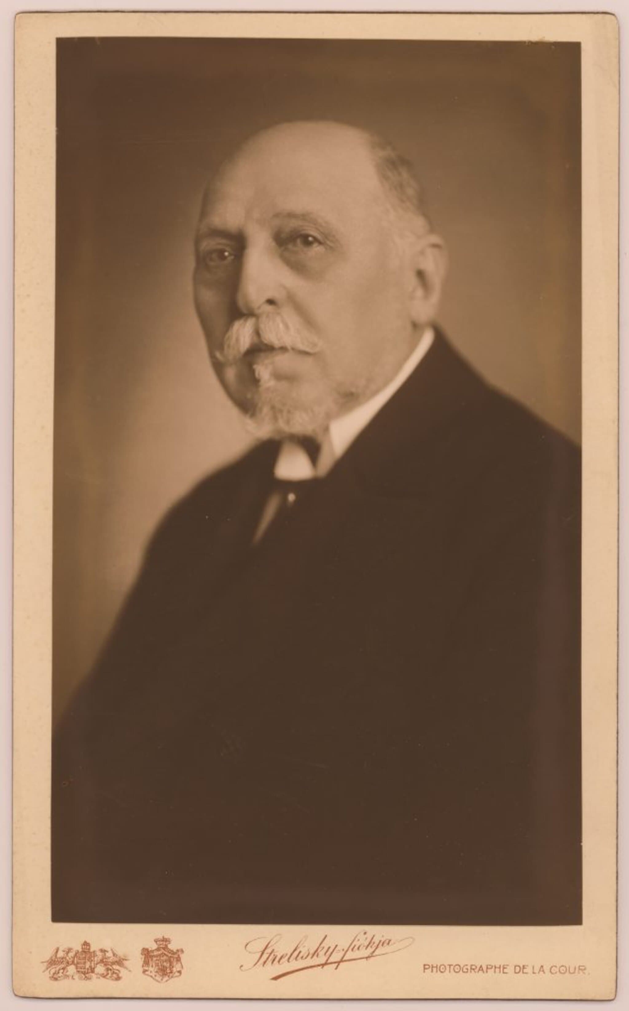 Ilosvay Lajos portréja