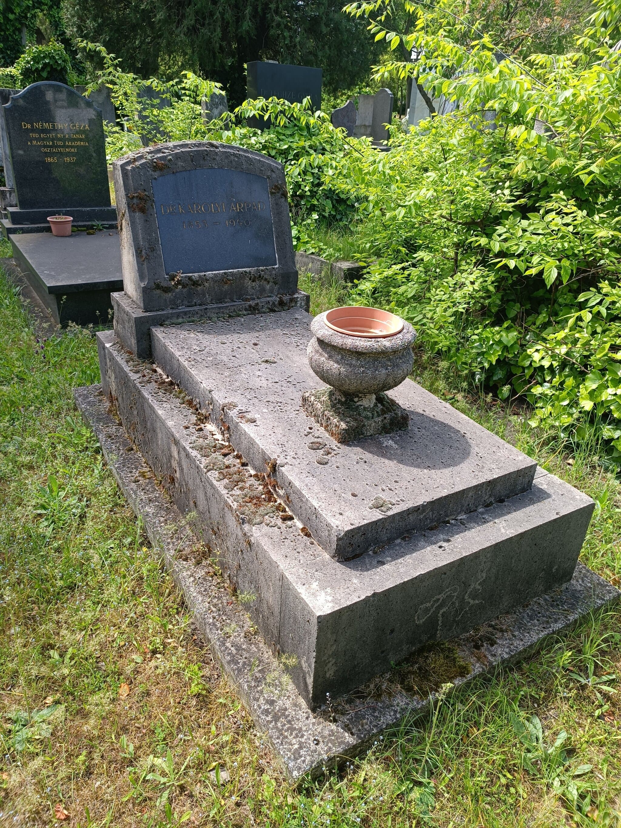 Károlyi Árpád sírja