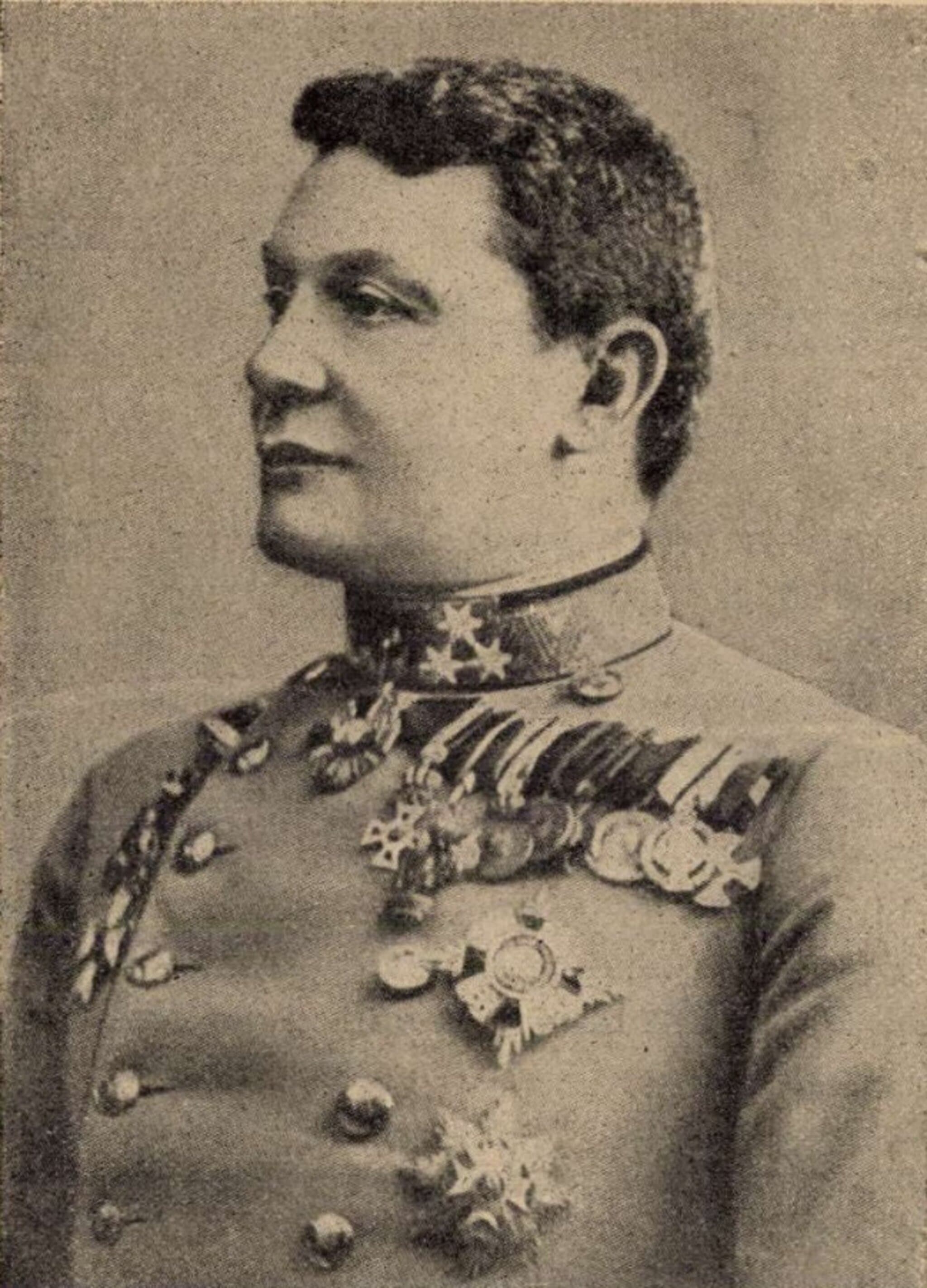 Kövess Hermann portréja