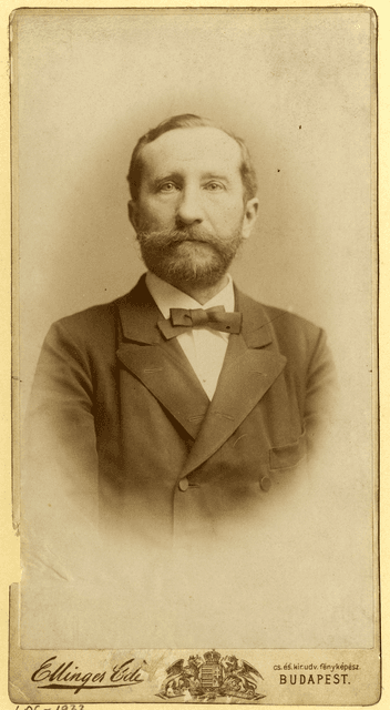 Krenner József portréja
